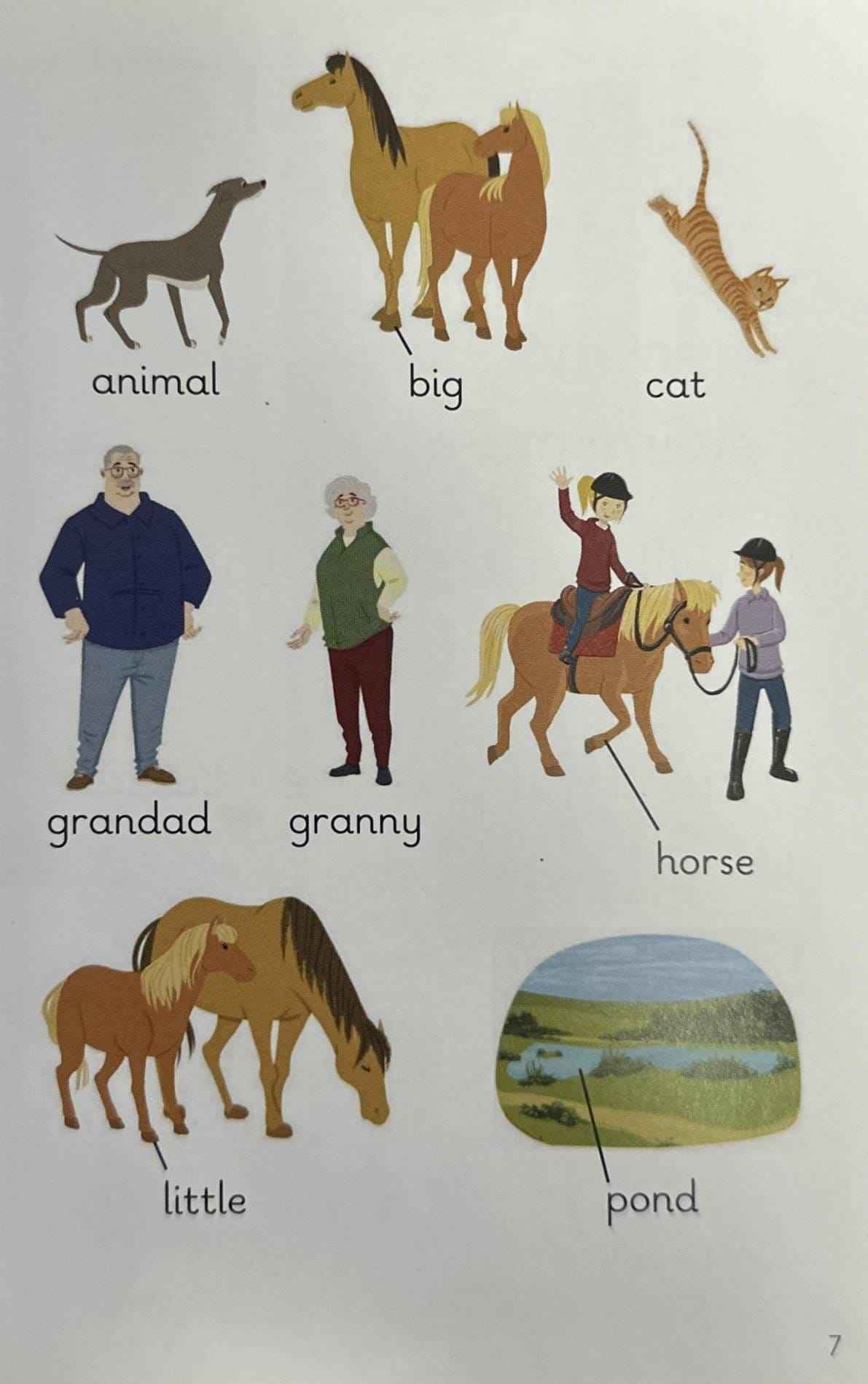 Key Words with Peter and Jane Level 5a: We Like Animals