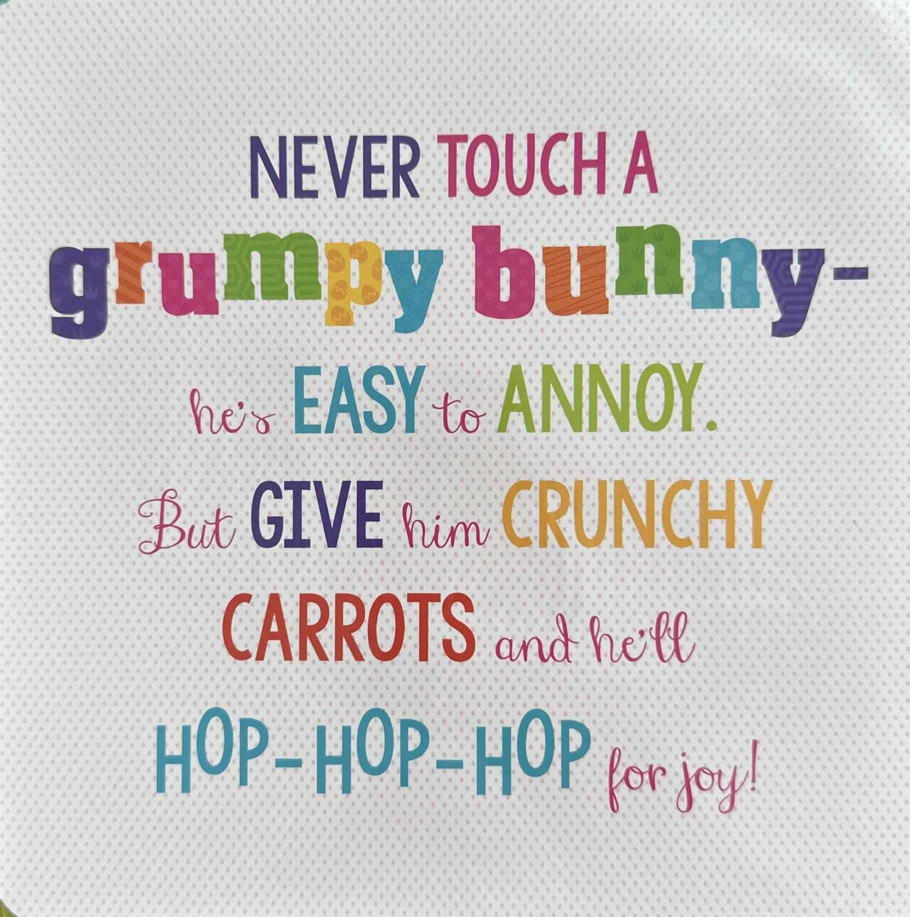 Never Touch: Never Touch a Grumpy Bunny