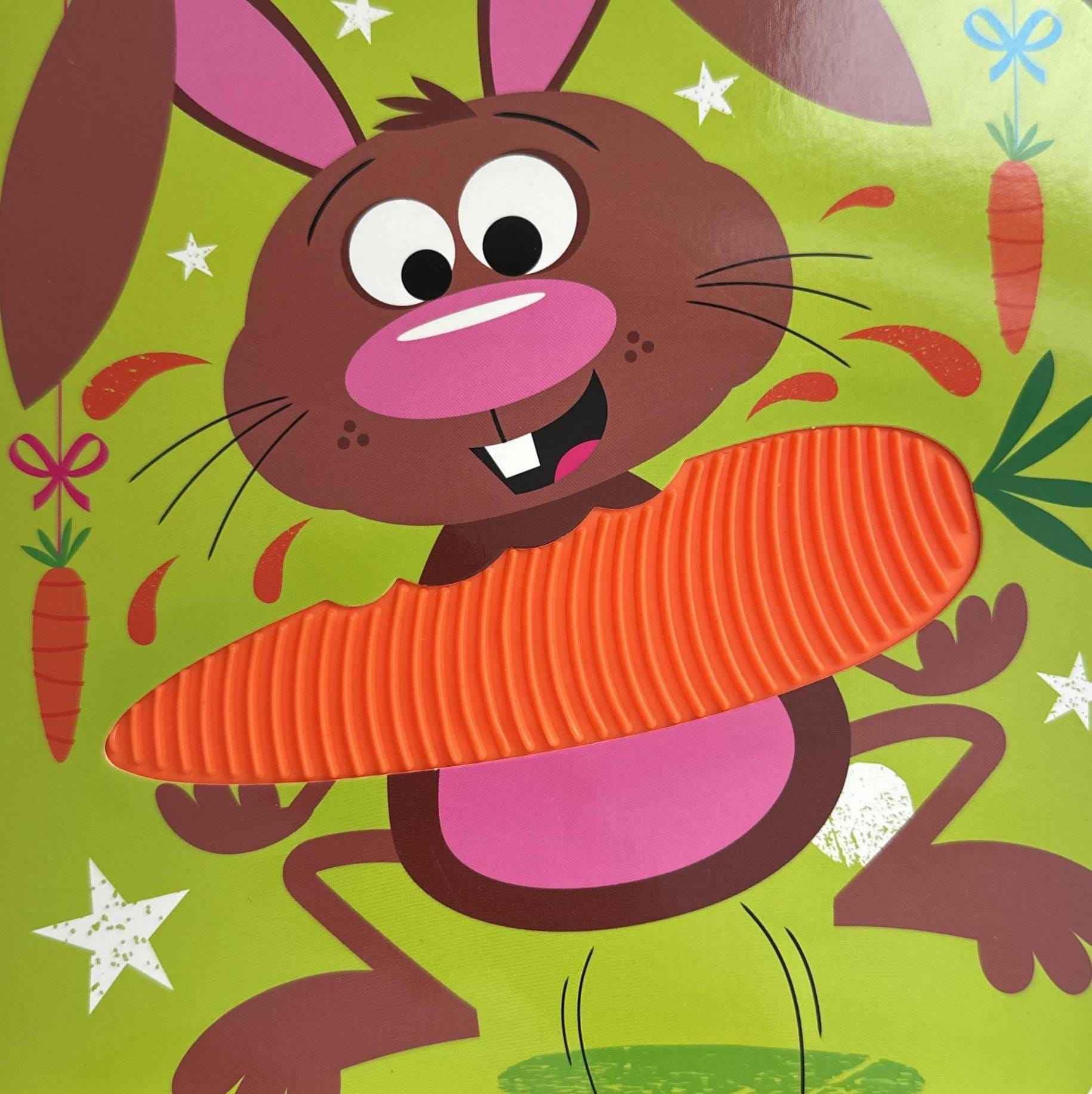 Never Touch: Never Touch a Grumpy Bunny