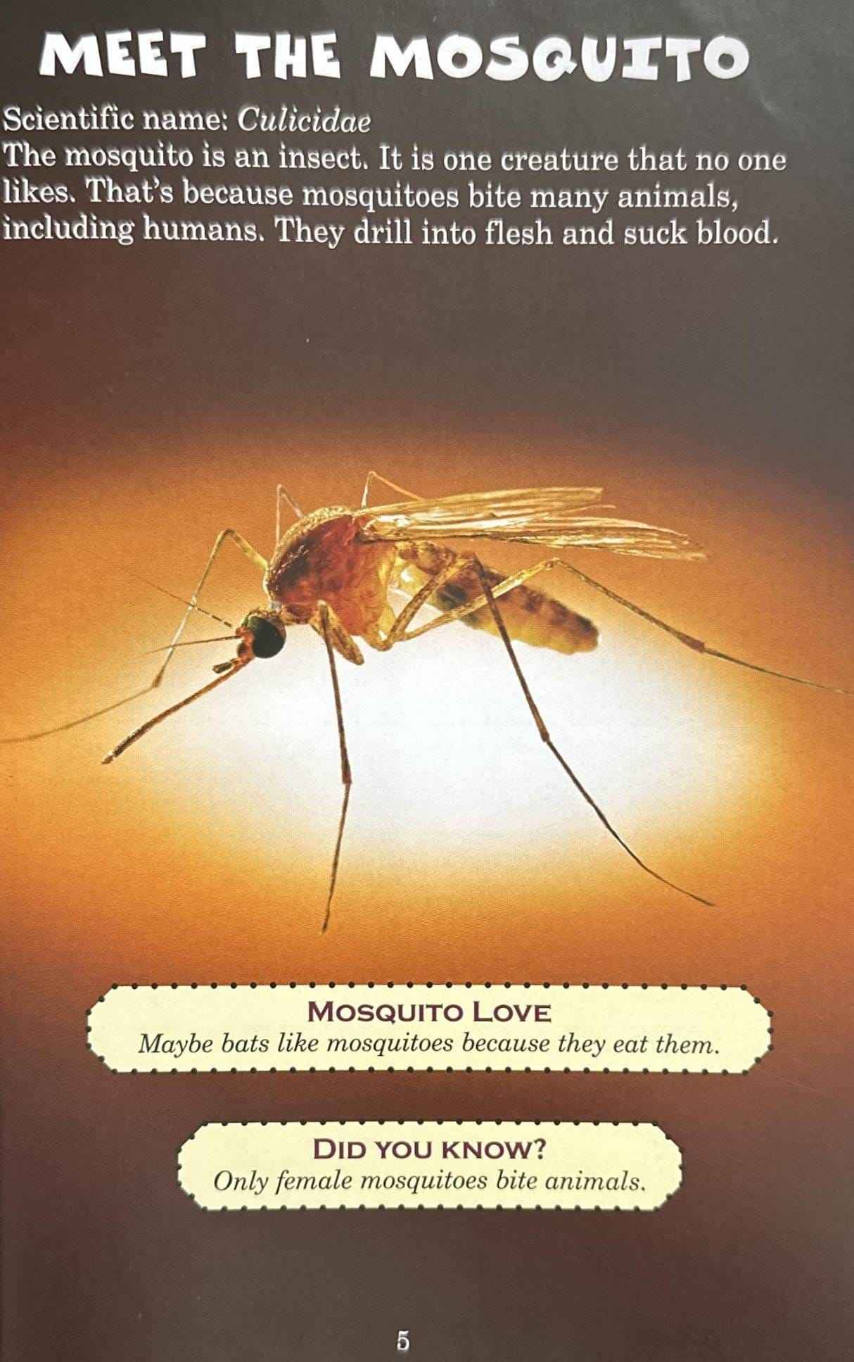 Who Would Win?: Blue Whale Vs. Mosquito