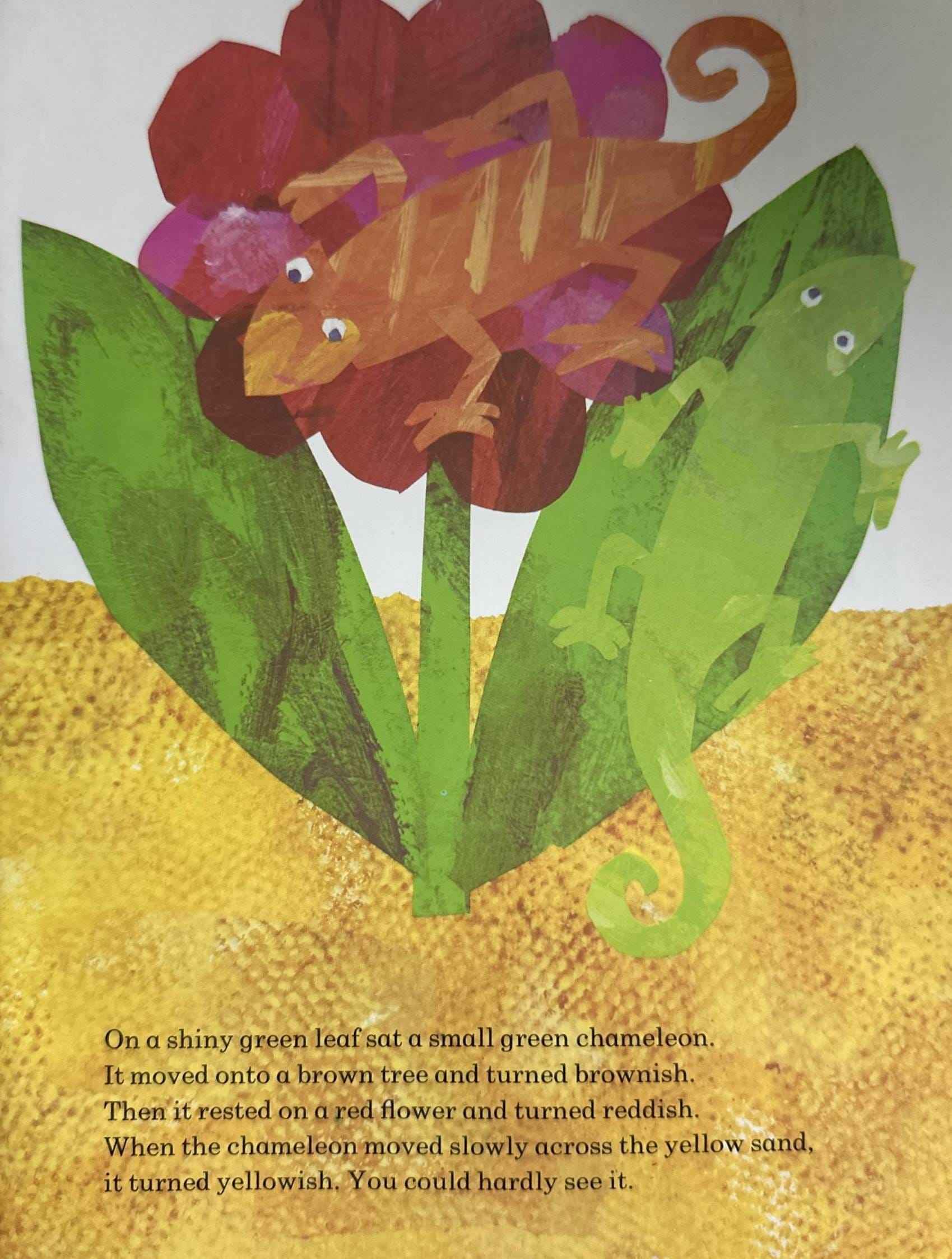 The Mixed-up Chameleon