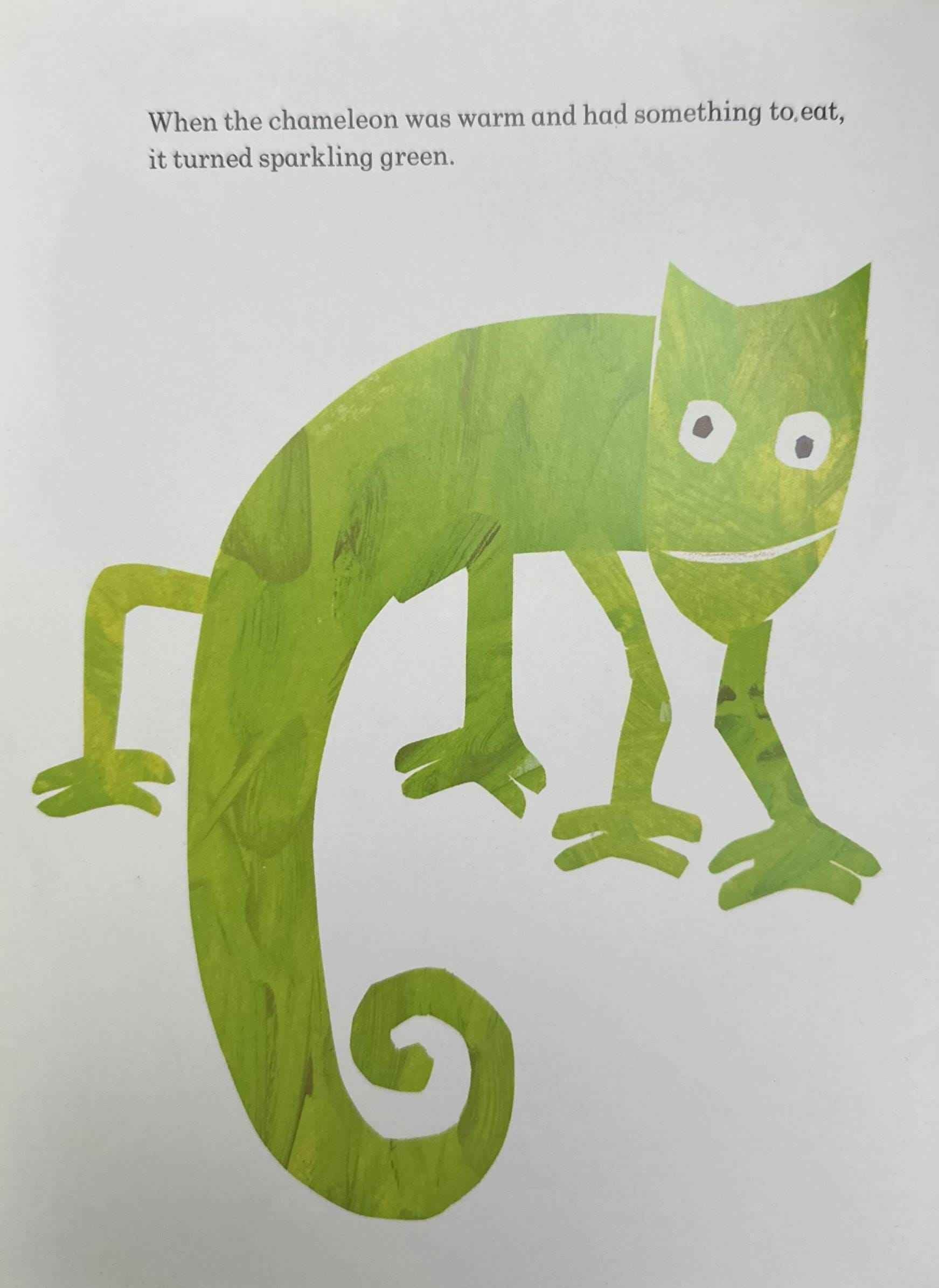 The Mixed-up Chameleon