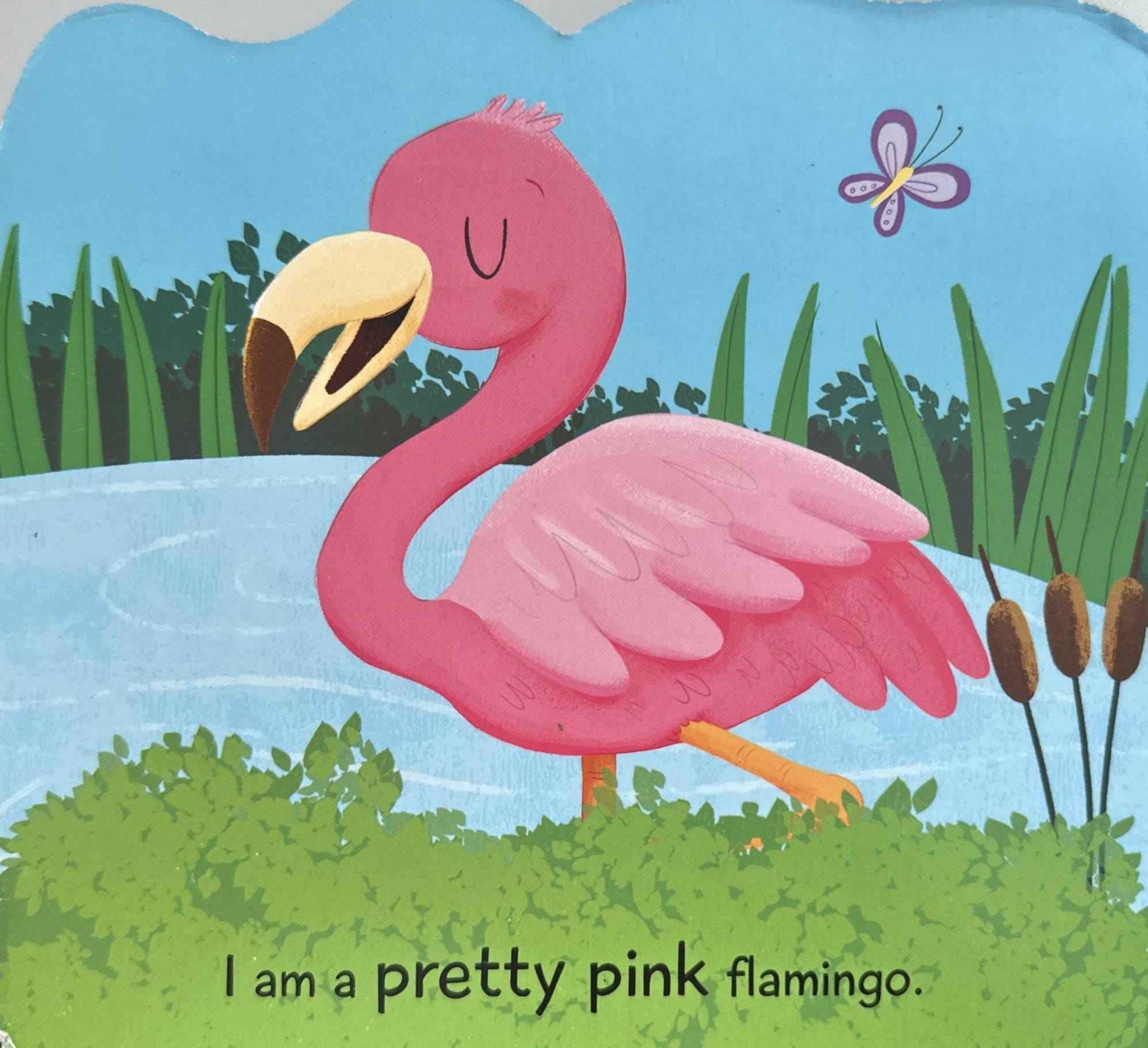 Lil Stars Shaped Board Book: Flamingo