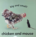 Baby Touch And Feel: Farm Friends (Baby Touch And Feel)