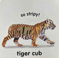 Baby Touch And Feel: Roar! Roar! (Baby Touch And Feel)