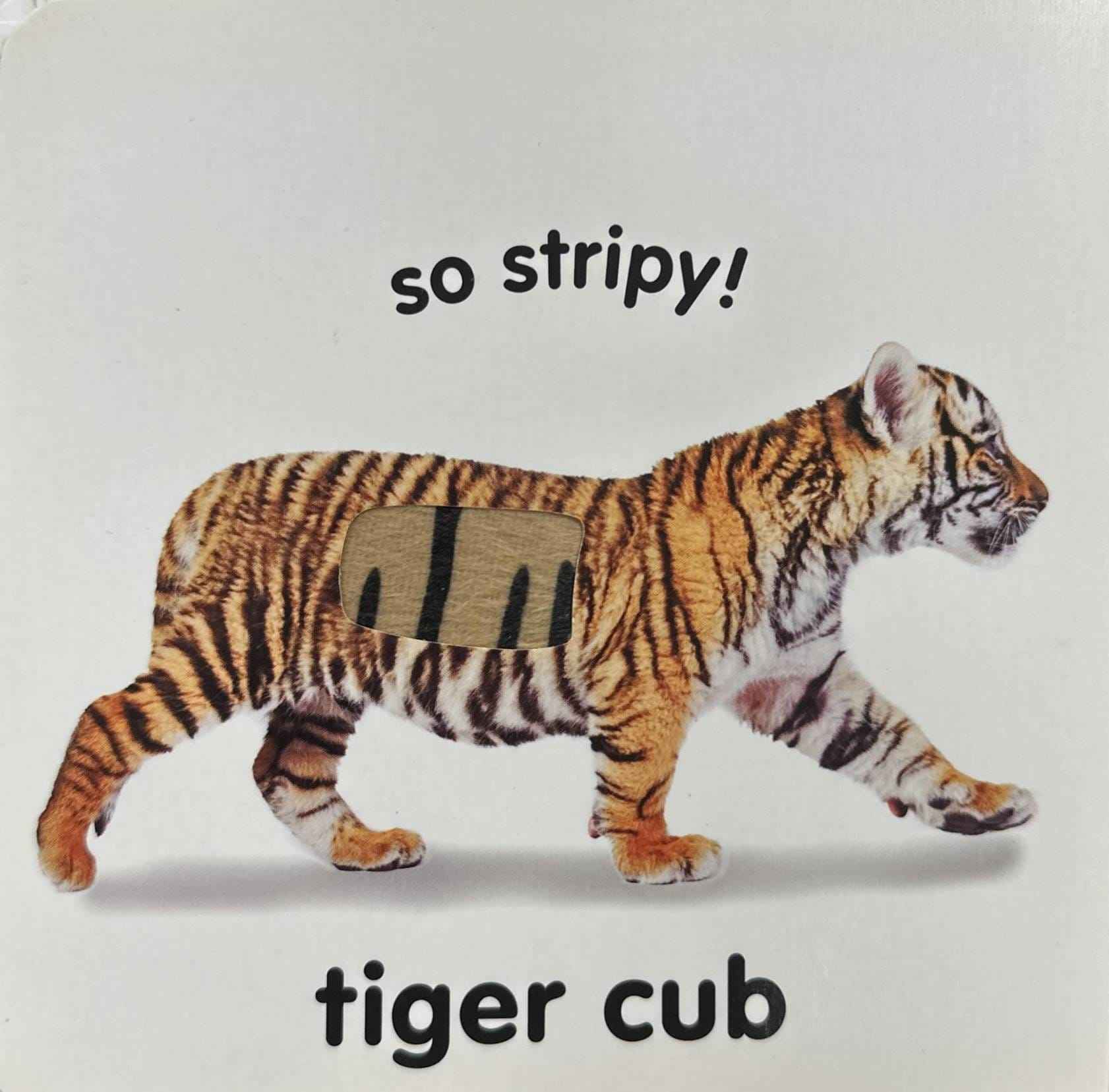 Baby Touch And Feel: Roar! Roar! (Baby Touch And Feel)