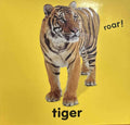 Baby Touch And Feel: Roar! Roar! (Baby Touch And Feel)