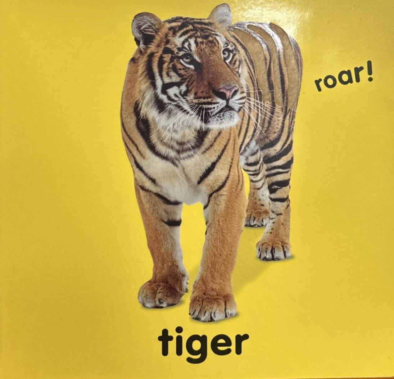 Baby Touch And Feel: Roar! Roar! (Baby Touch And Feel)