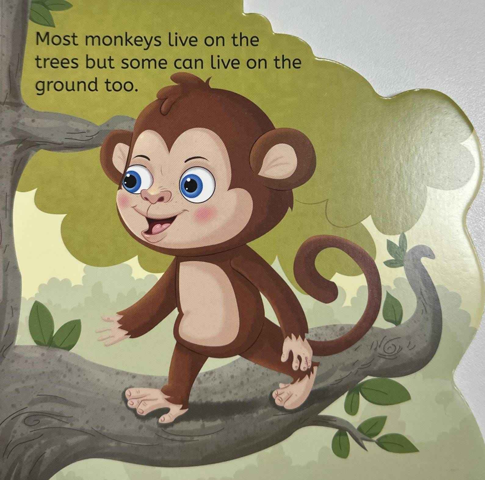 My First Shaped Board Book: Monkey