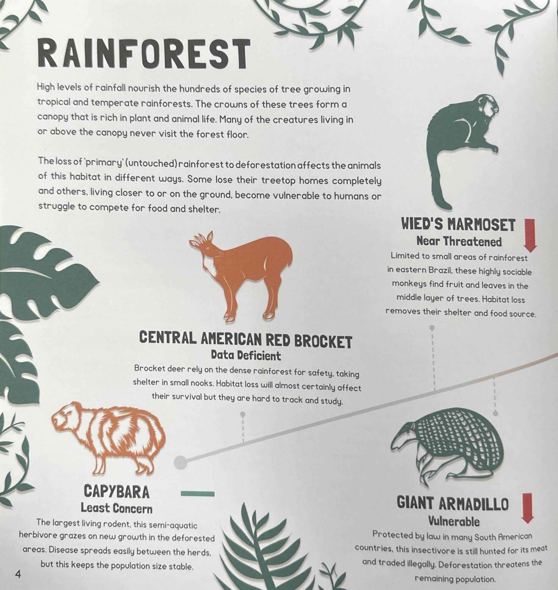 Endangered Animals And How You Can Help