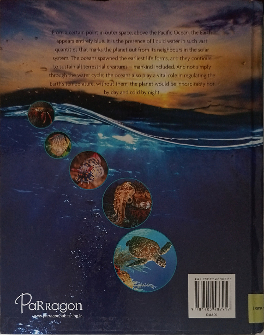 Ocean: Revealing the Secrets of the Deep