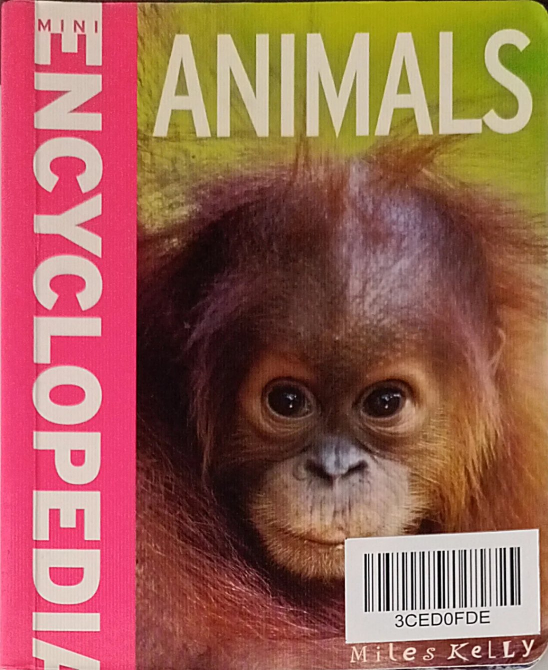 Mini Encyclopedia Animals