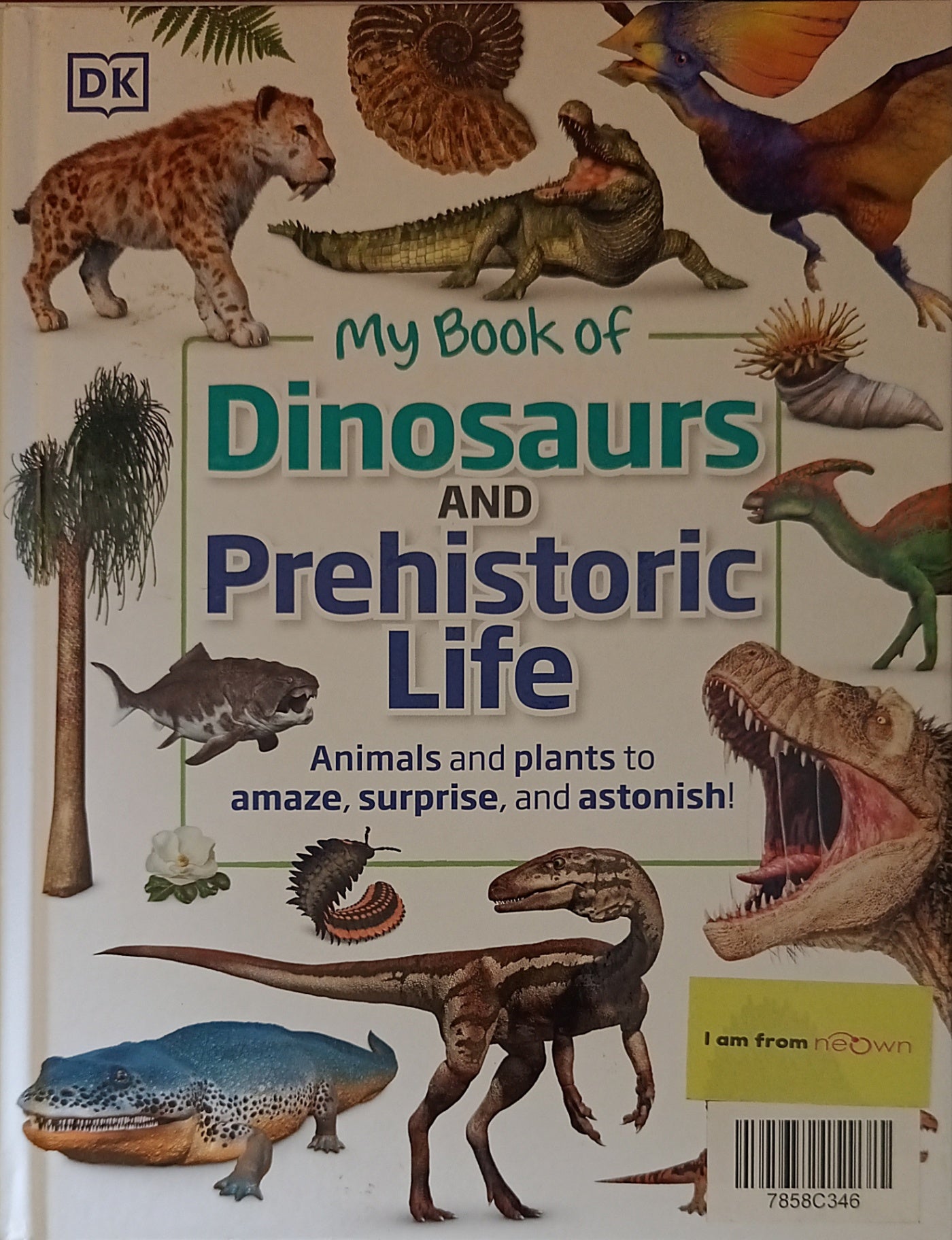 My Book of Dinosaurs and Prehistoric Life