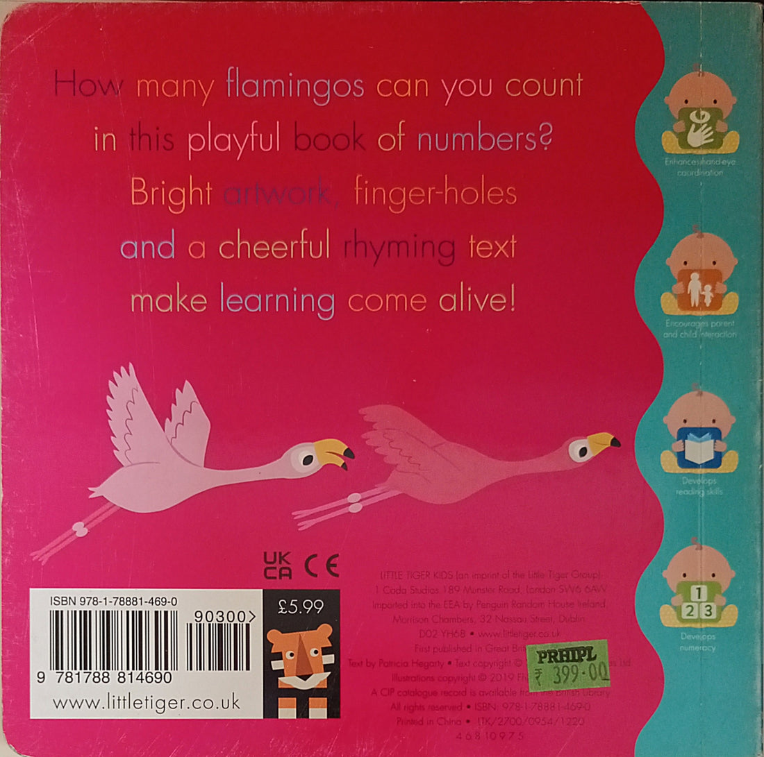 Flamingo A Colourful Book of Counting!