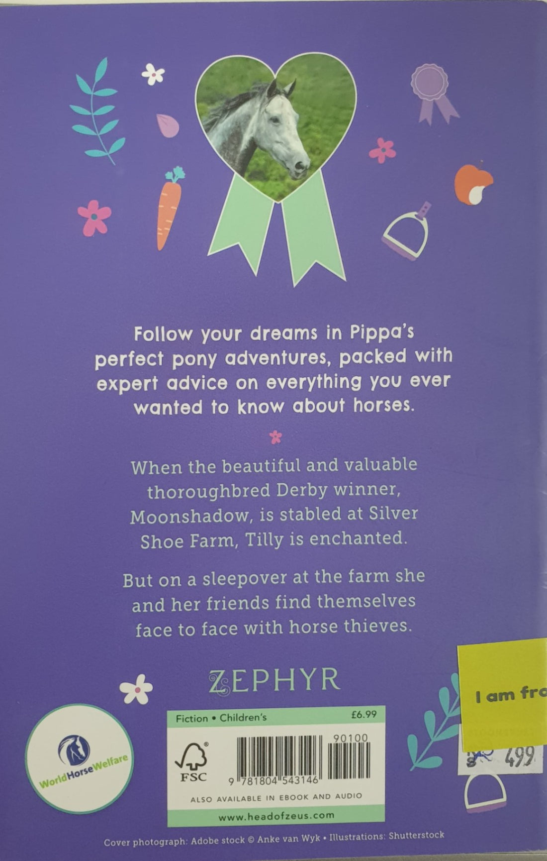 Pippa's Pony Tales #11 Moonshadow the Derby Winner