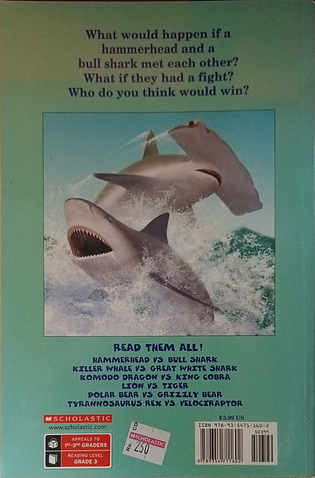 Who Would Win?: Hammerhead vs. Bull Shark