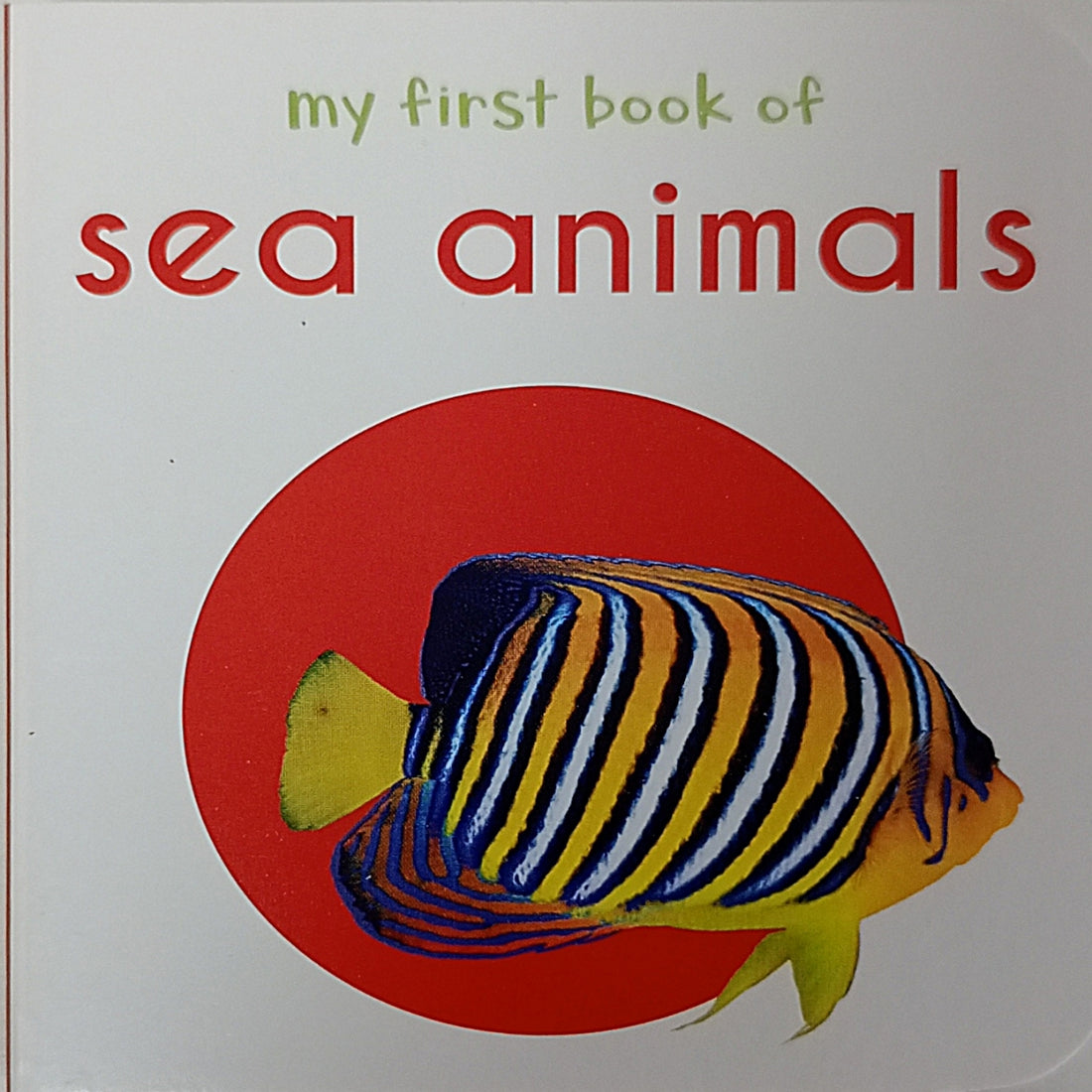 My First Book of: Baby Animals, Toys, People at Work, Things at Home, Sea Animals (Set of 5 Books)