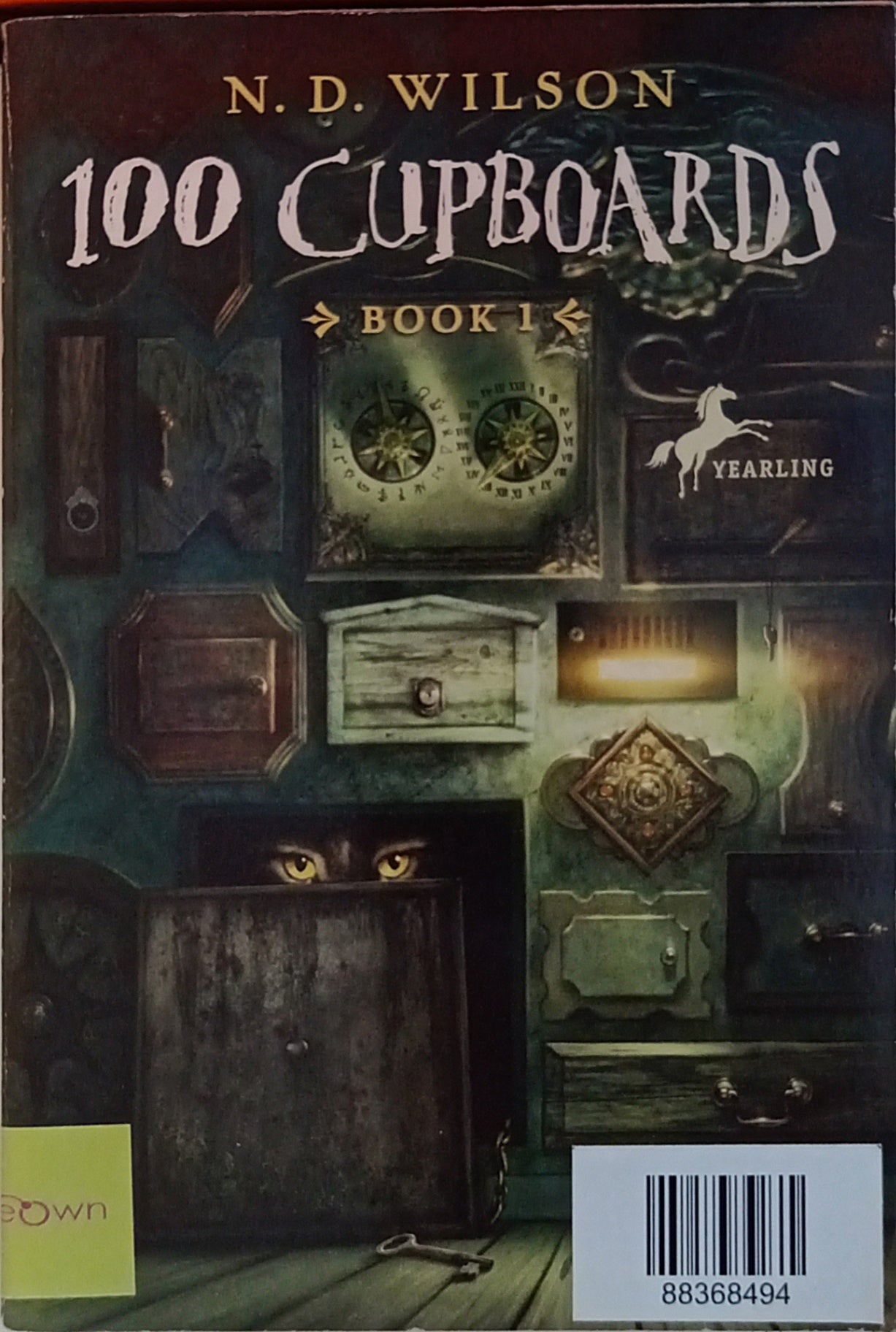 100 Cupboards Book-1