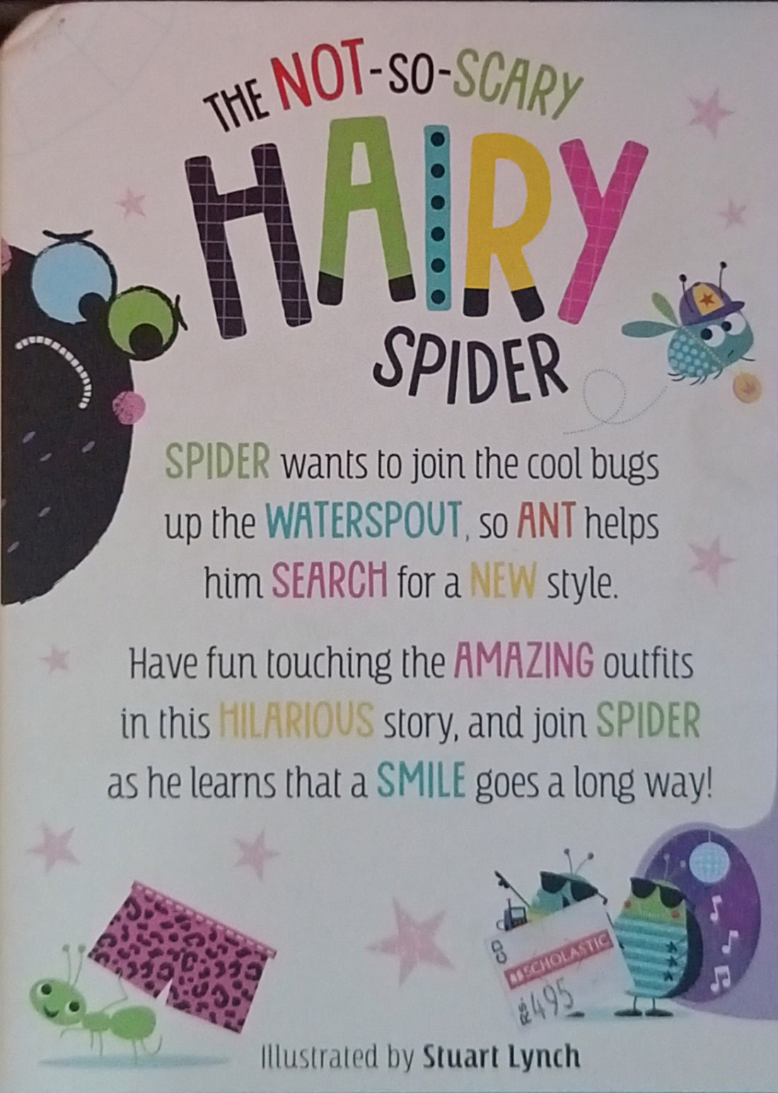 The Not-So-Scary Hairy Spider