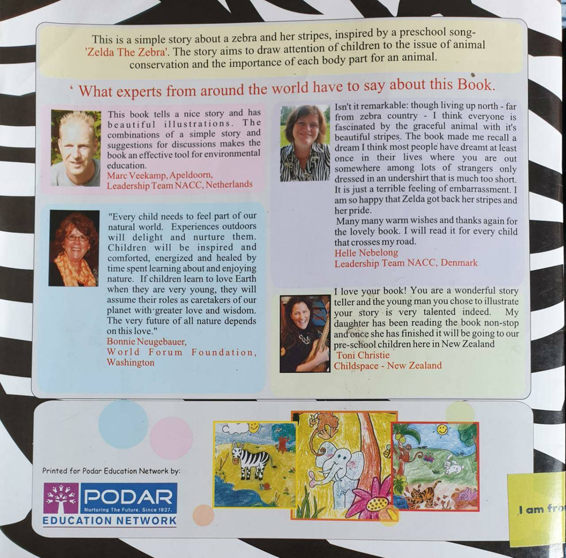 Why Does Zelda Need Stripes?