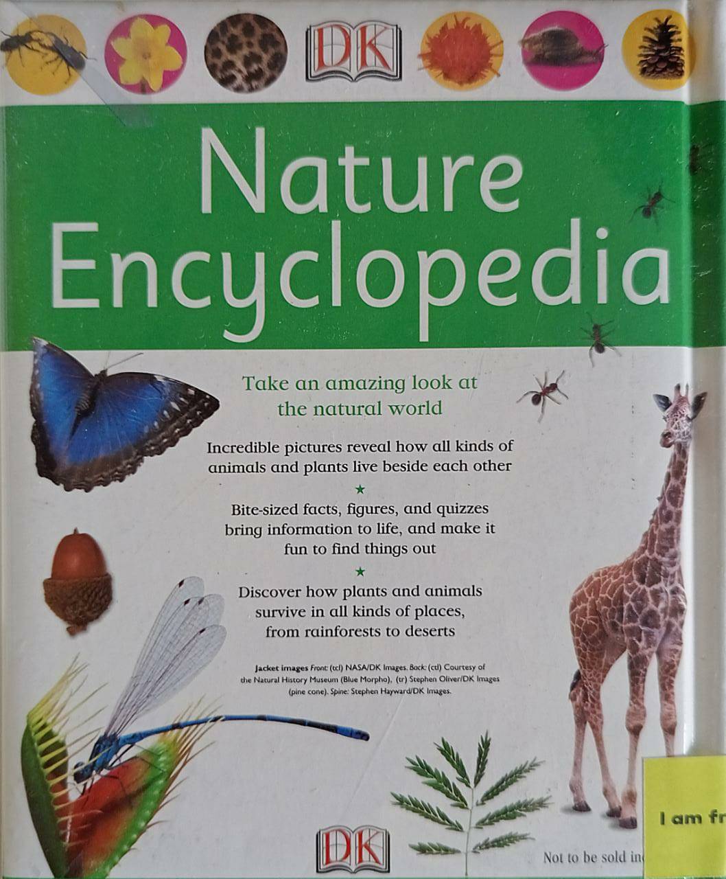 First Reference For Young Readers and Writers: Nature Encyclopedia (First Reference For Young Readers and Writers)