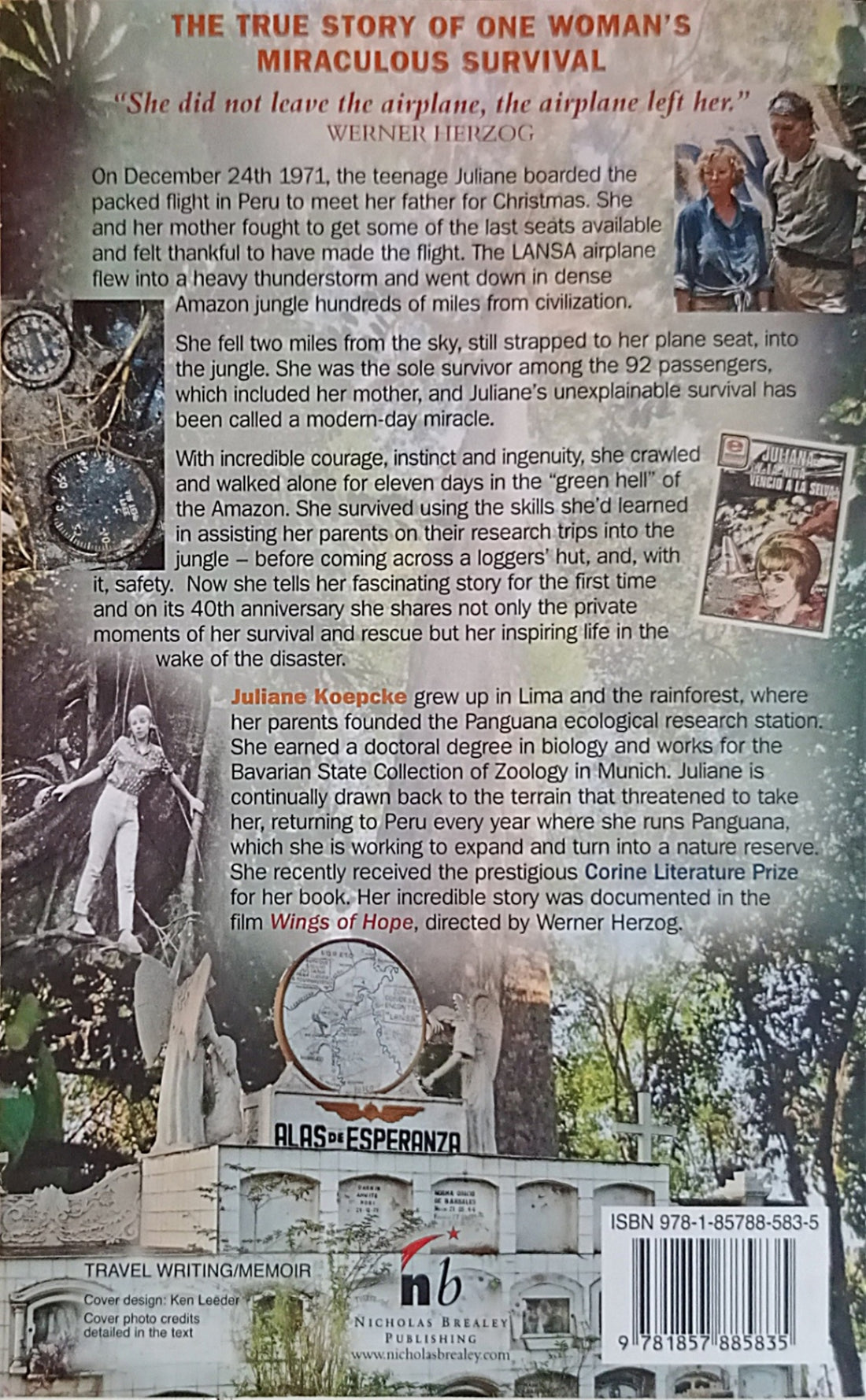 When I Fell From The Sky