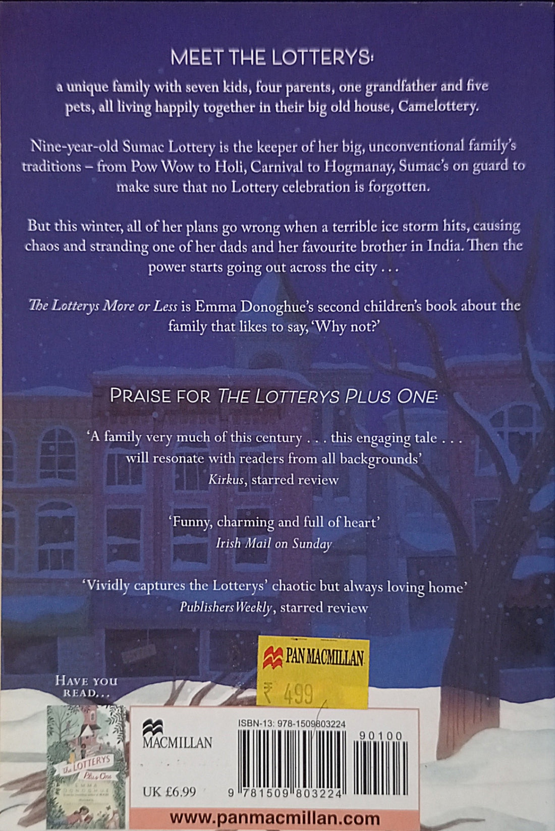 The Lotterys #2 The Lotterys More Or Less