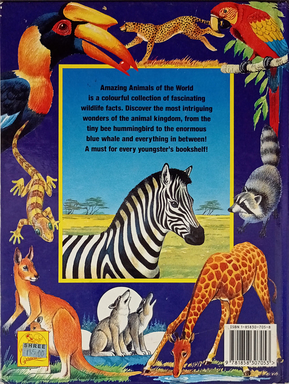 Amazing Animals of the World