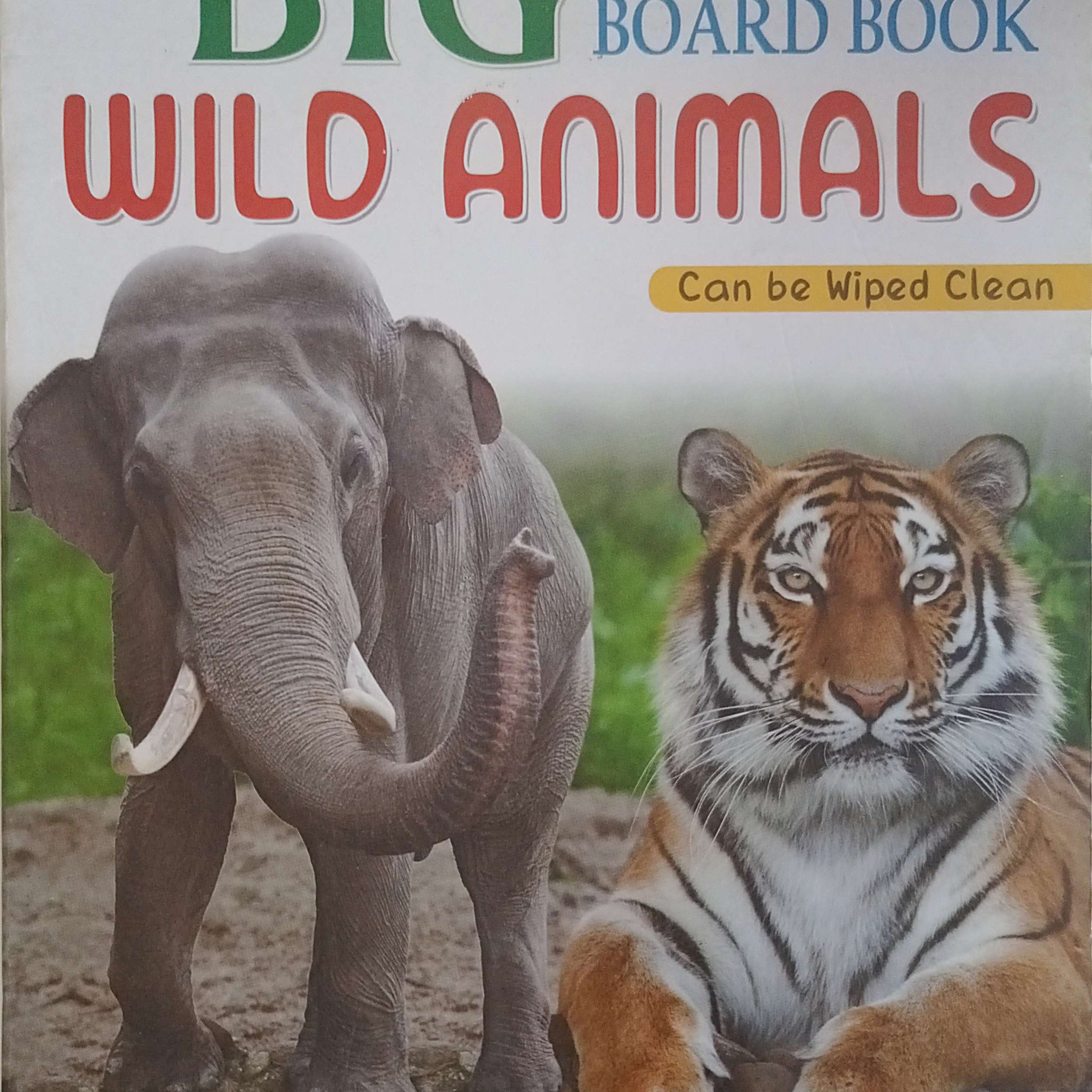 Big Picture Board Book Wild Animals