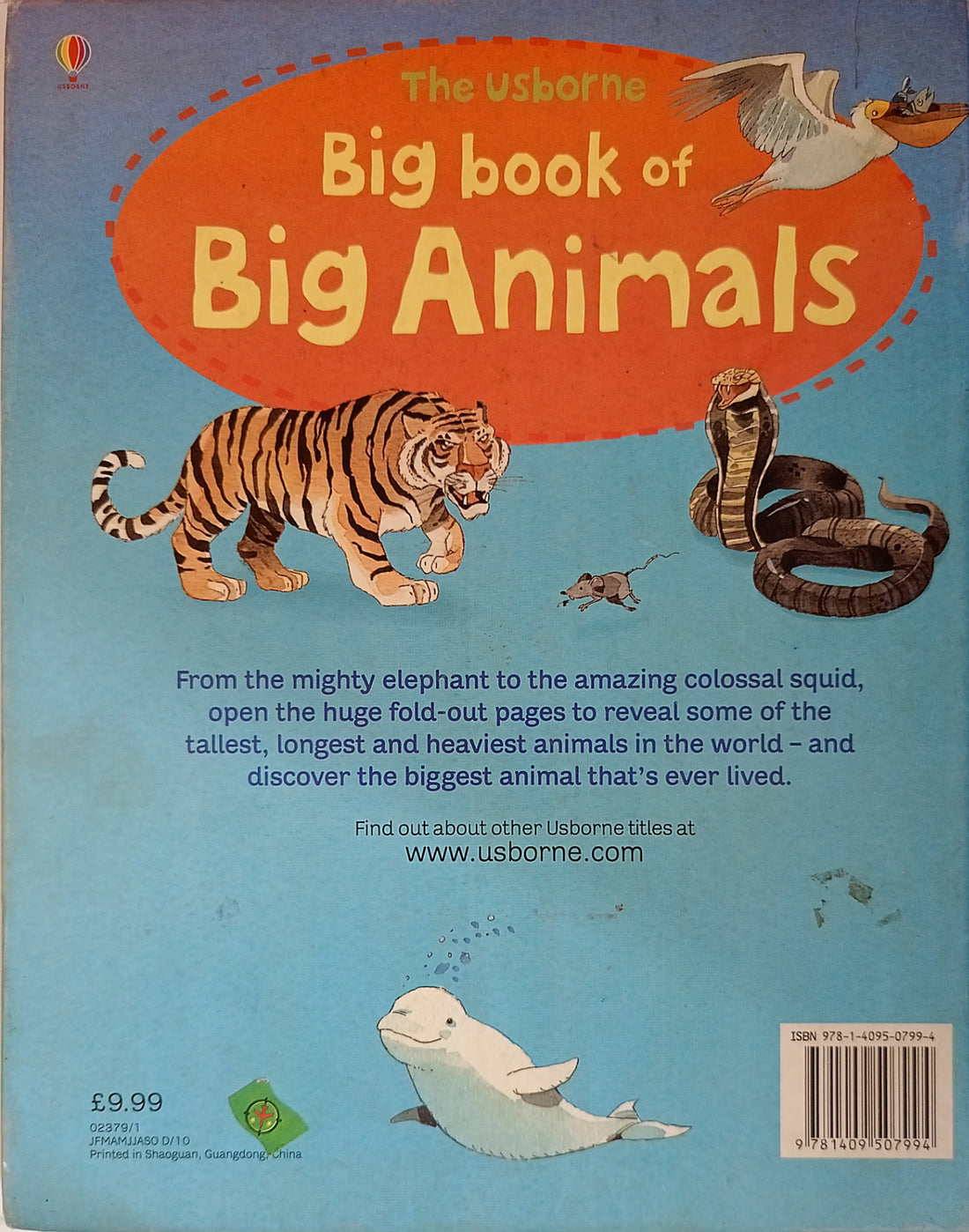 The Usborne Big Book: The Usborne Big Book of Big Animals