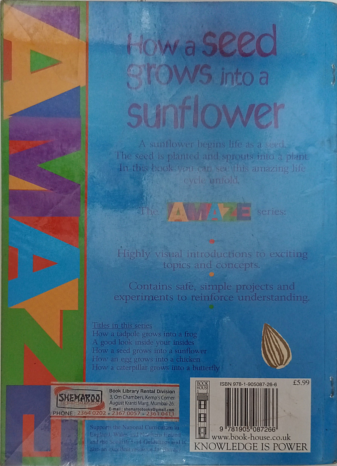 How A Seed Grows Into A Sunflower