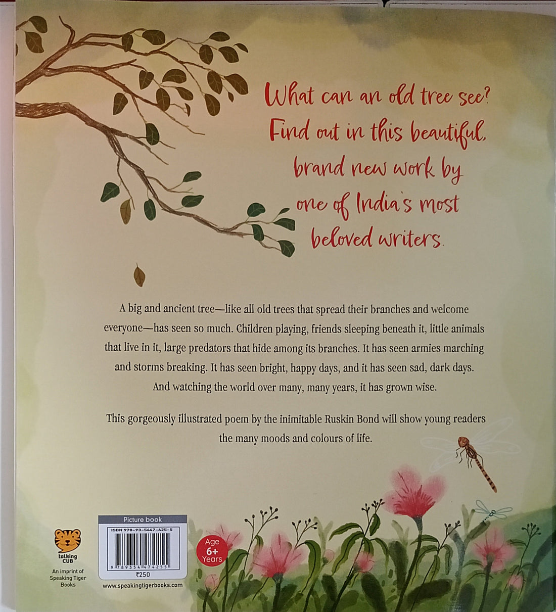 Old Trees Have Secrets