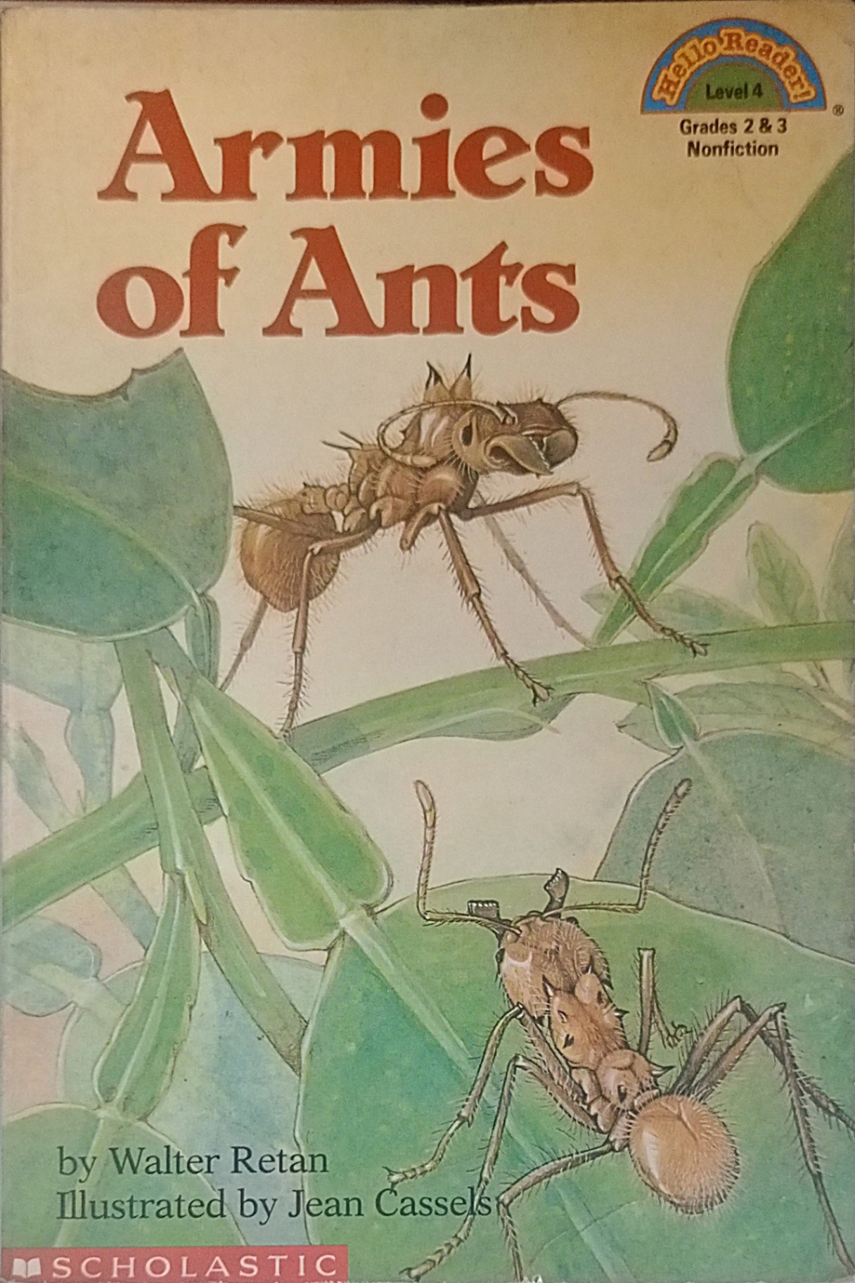 Armies of Ants