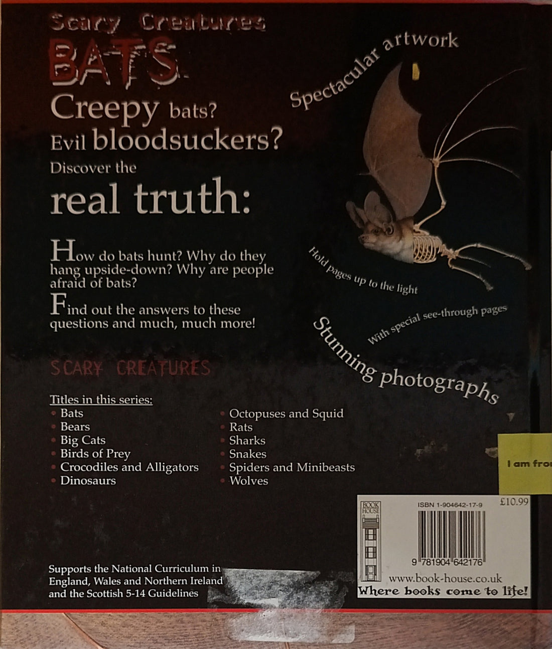 Scary Creatures: Bats