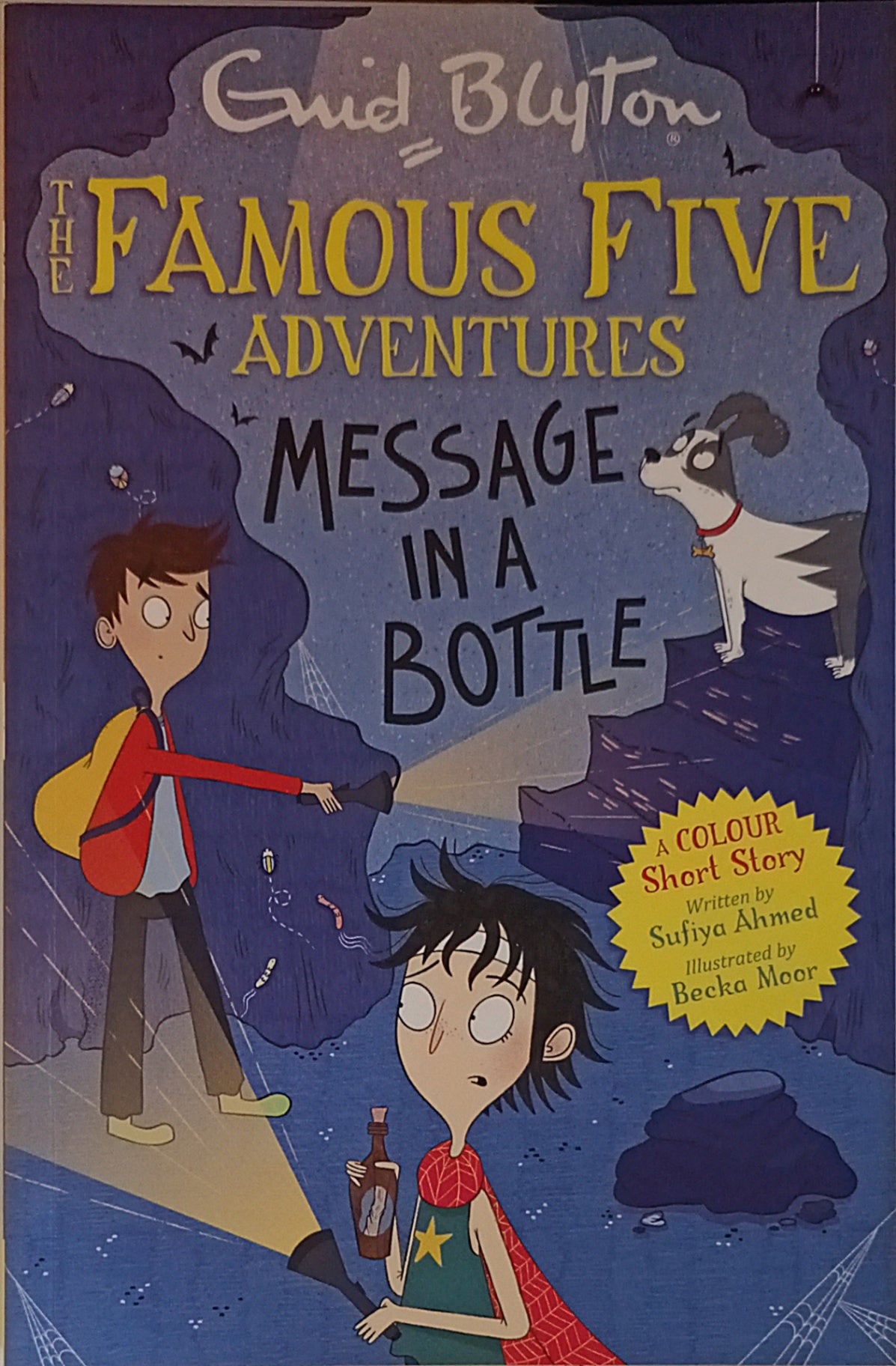 Famous Five Adventures: Message in a Bottle
