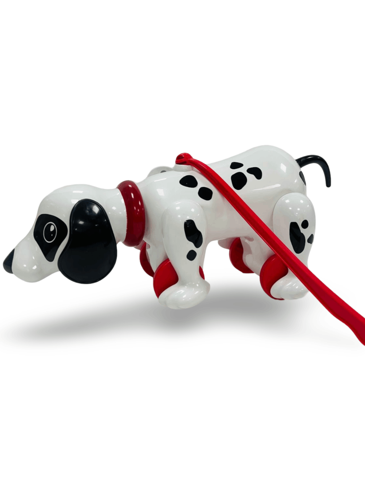 Spotty- My Pet