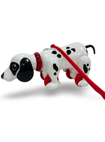 Spotty- My Pet