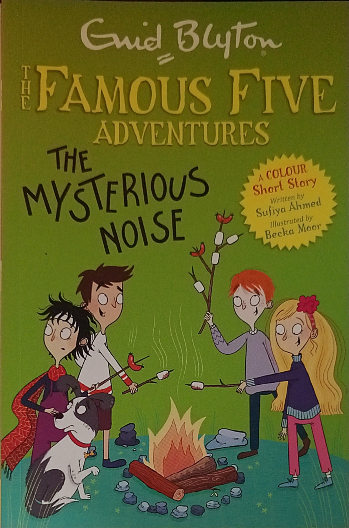 Famous Five Adventures The Mysterious Noise