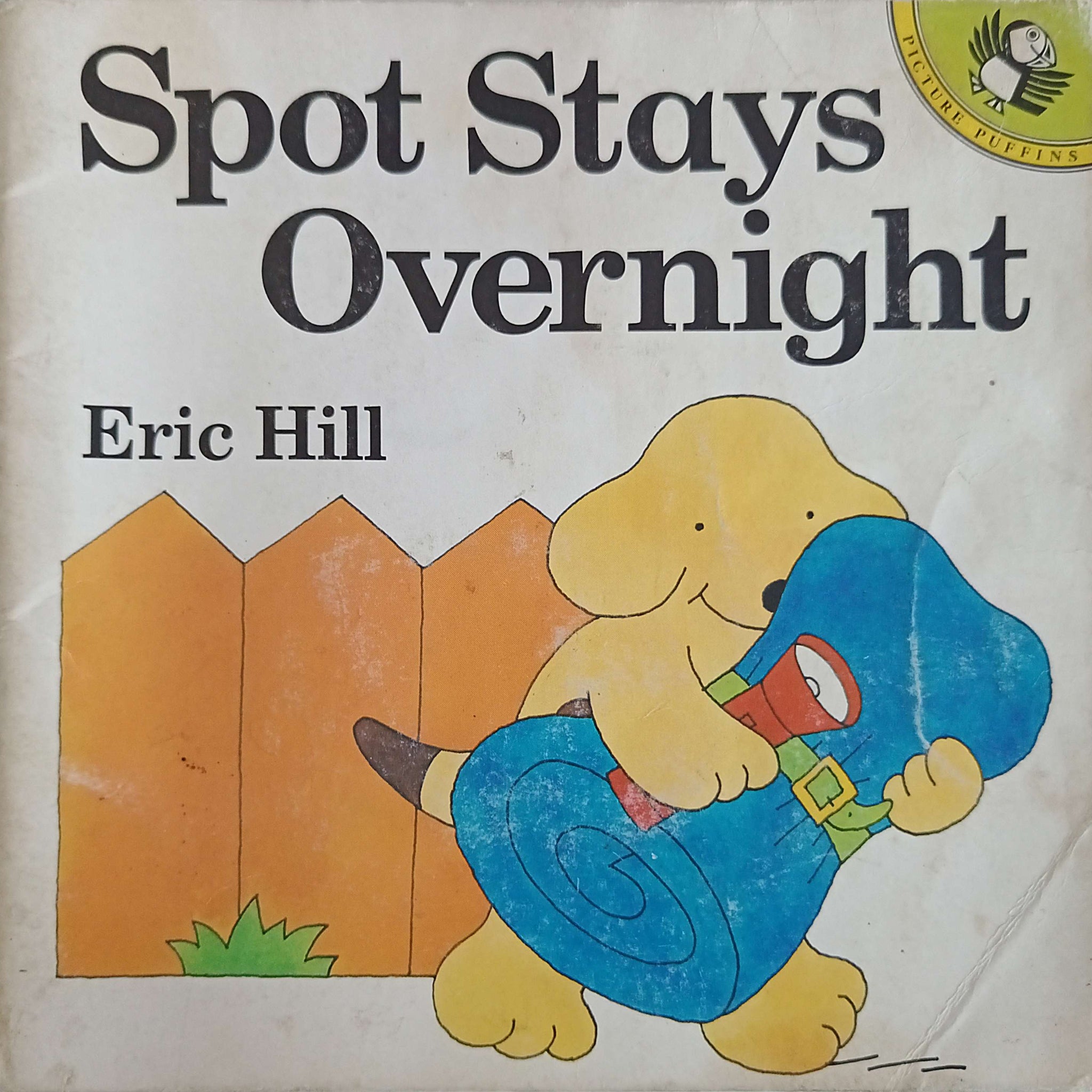 Spot Stays Overnight