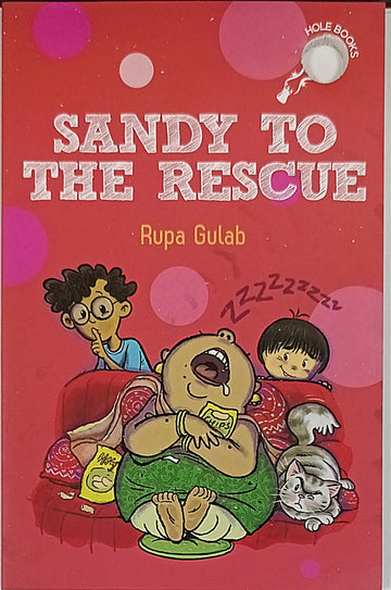 Hole Books Sandy to the Rescue