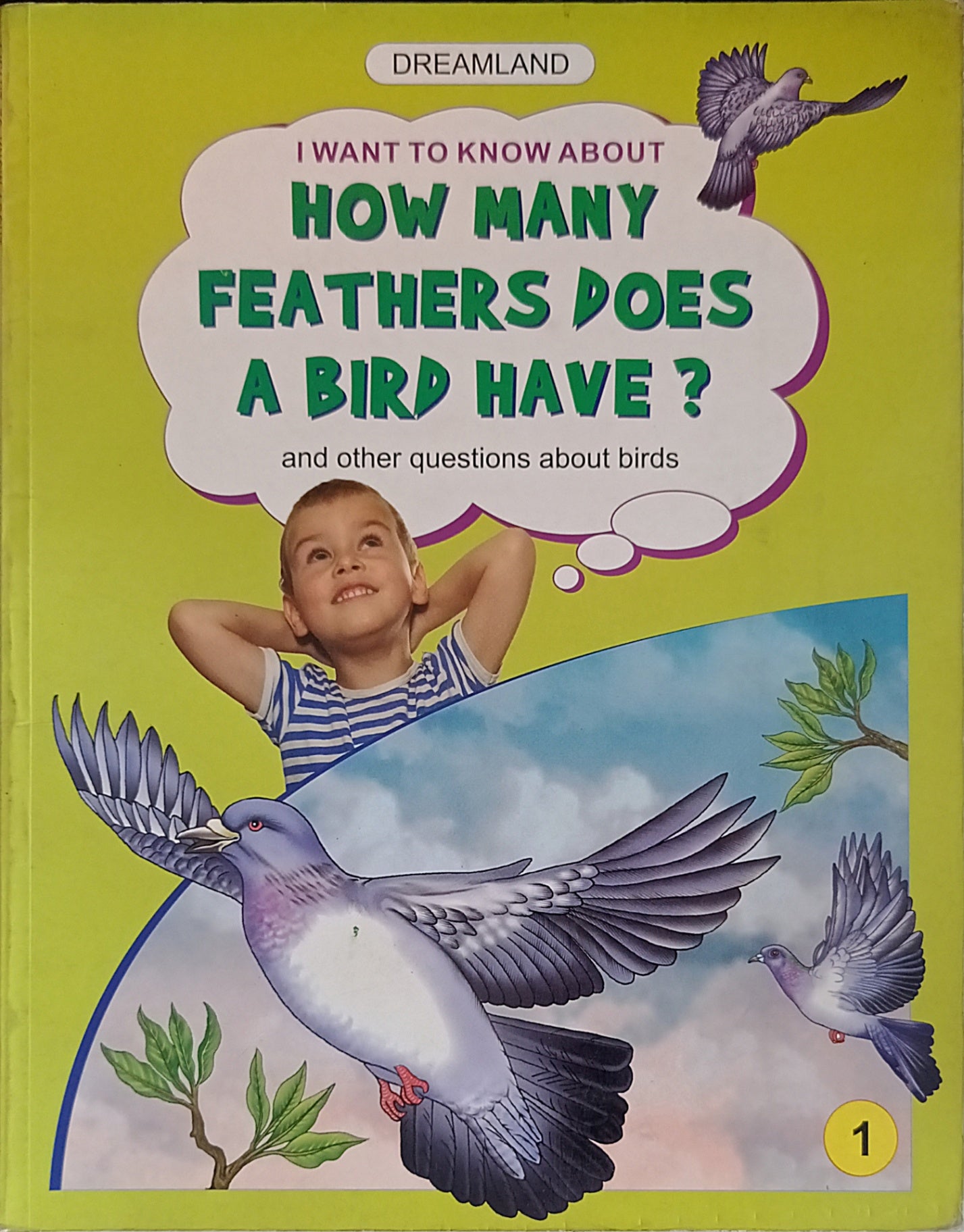 How many Feathers does a Bird have? Vol.1