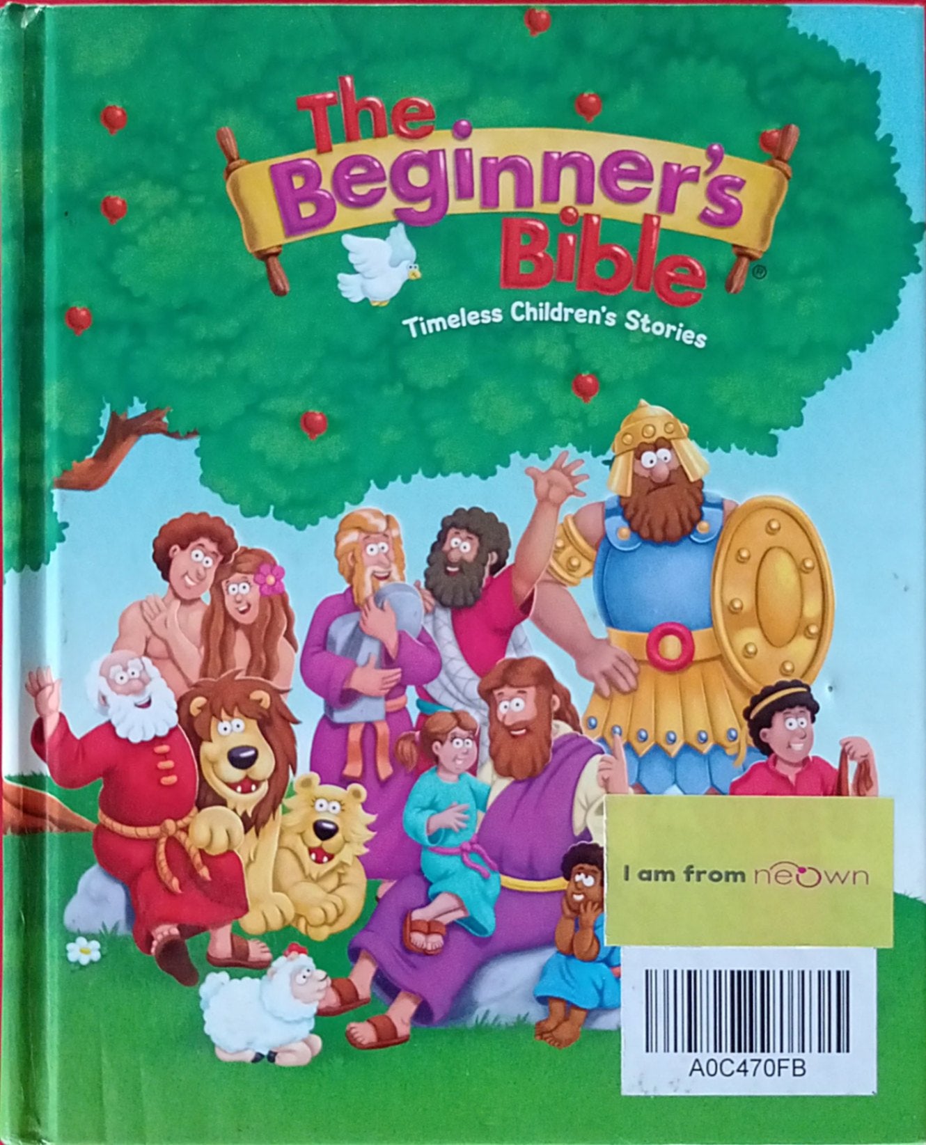 The Beginner's Bible