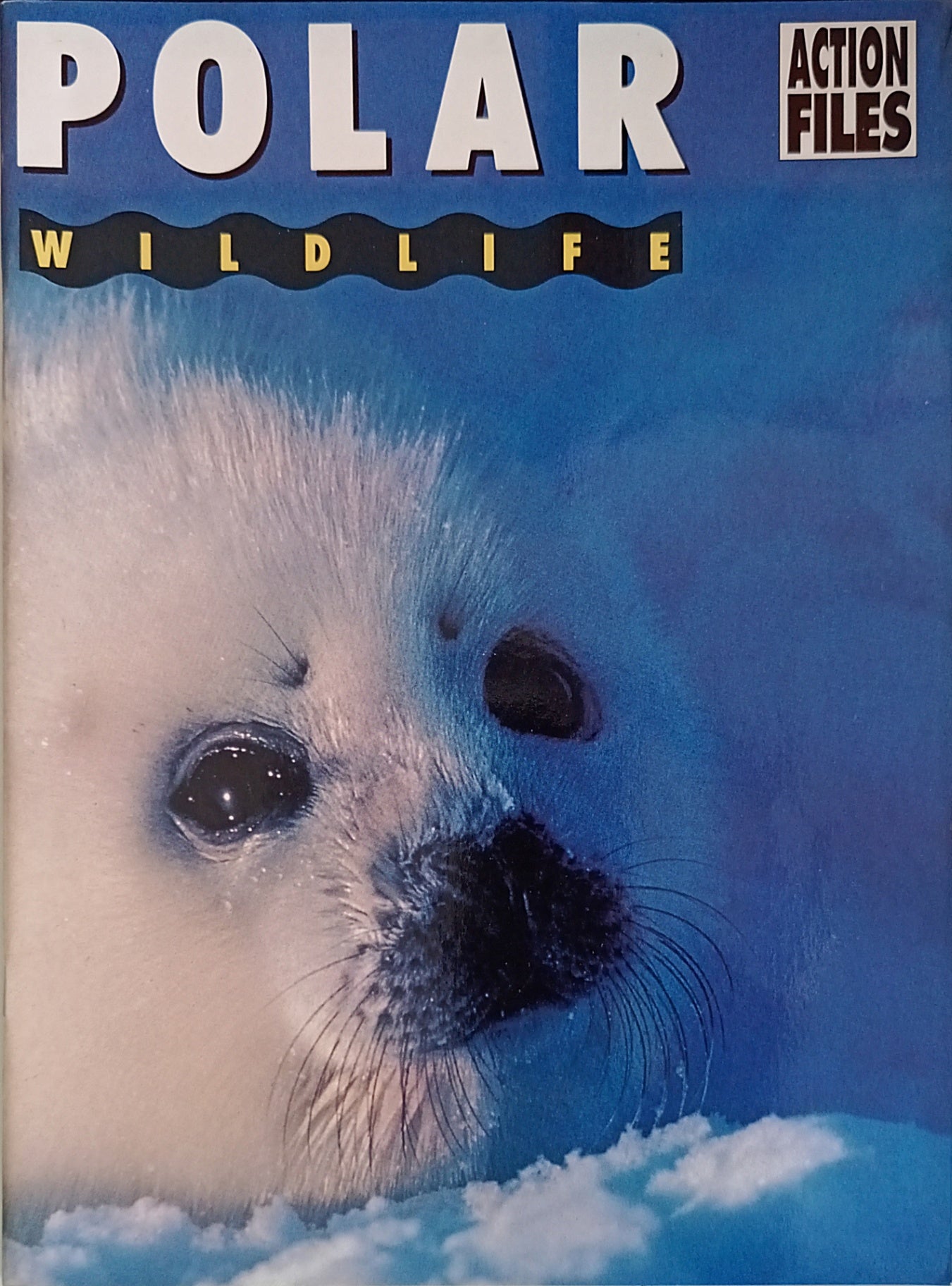 Action Files-Polar Wildlife