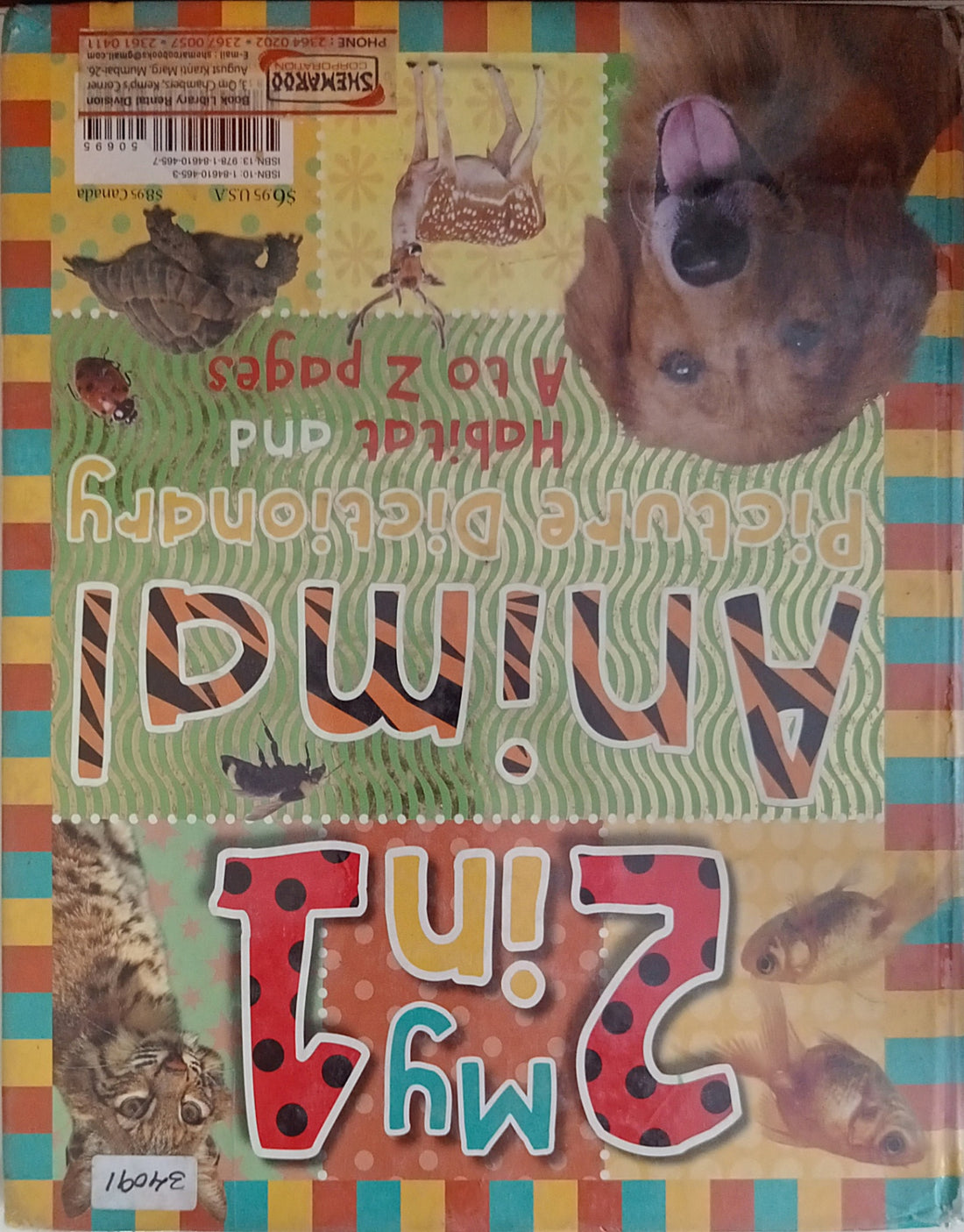 My 2 in 1 Animal Picture Dictionary: A to Z Pictures