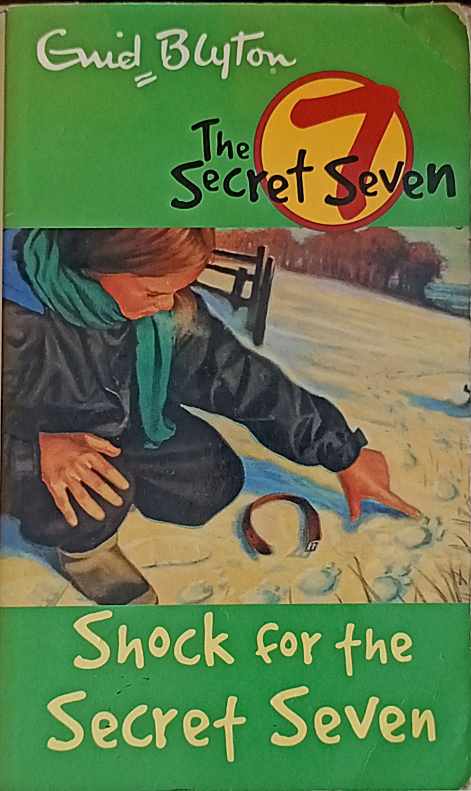 Secret Seven: #13 Shock for the Secret Seven