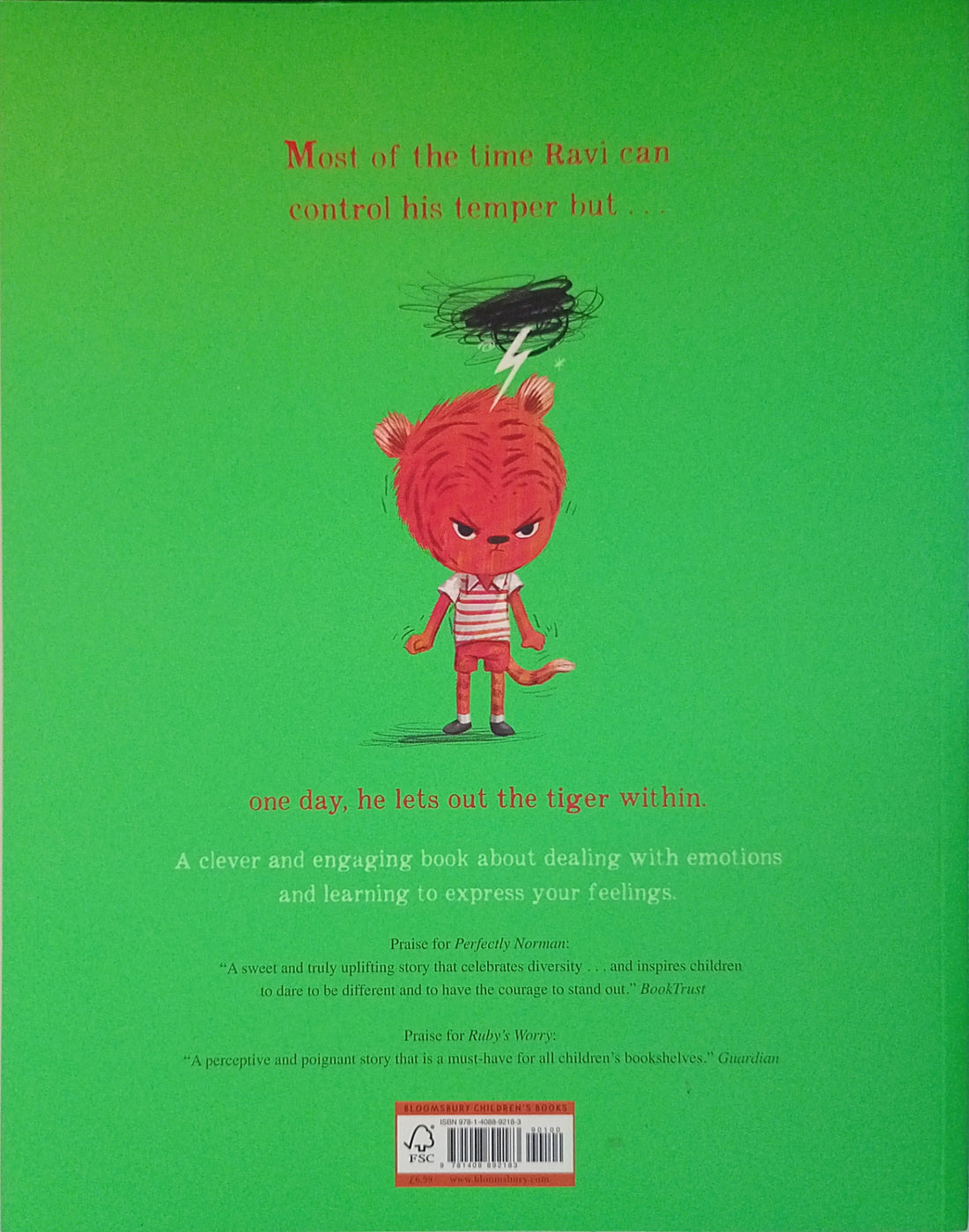 A Big Bright Feelings Book: Ravi's Roar
