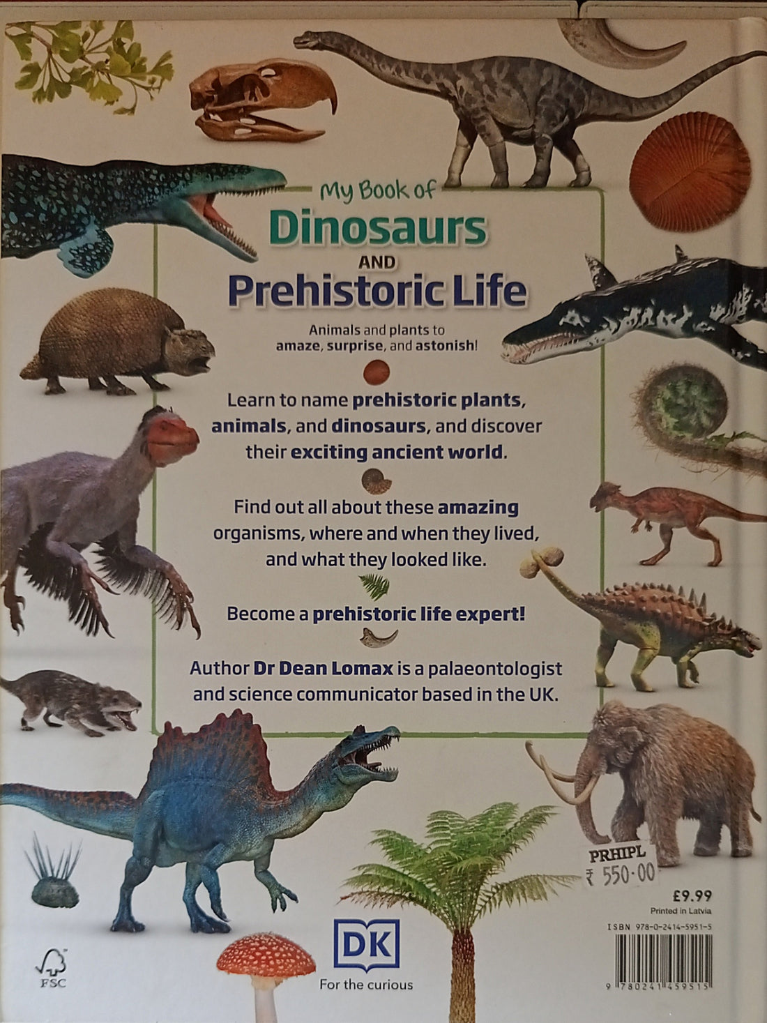 My Book of: My Book of Dinosaurs and Prehistoric Life