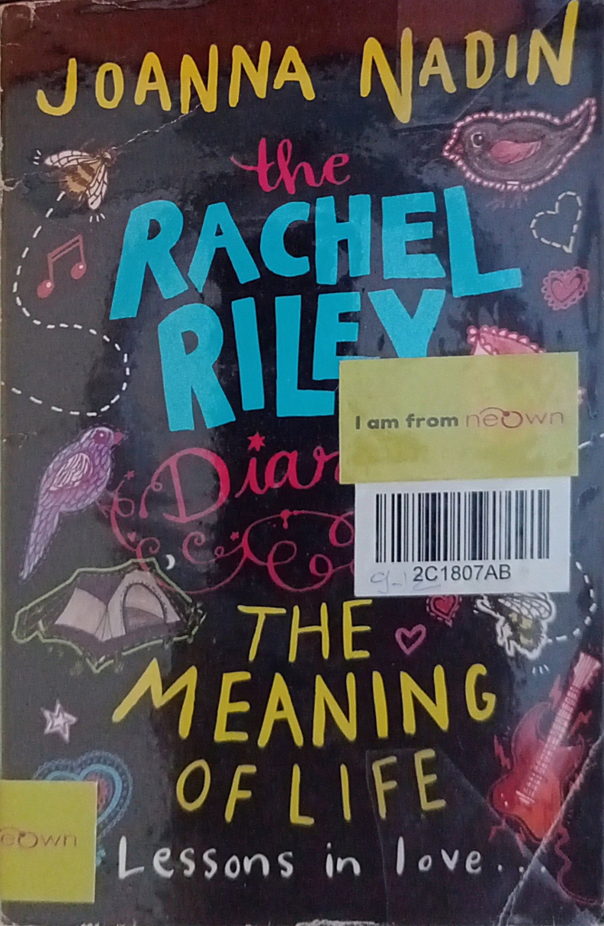Rachel Riley Diaries The Rachel Riley Diaries 3- The Meaning of Life