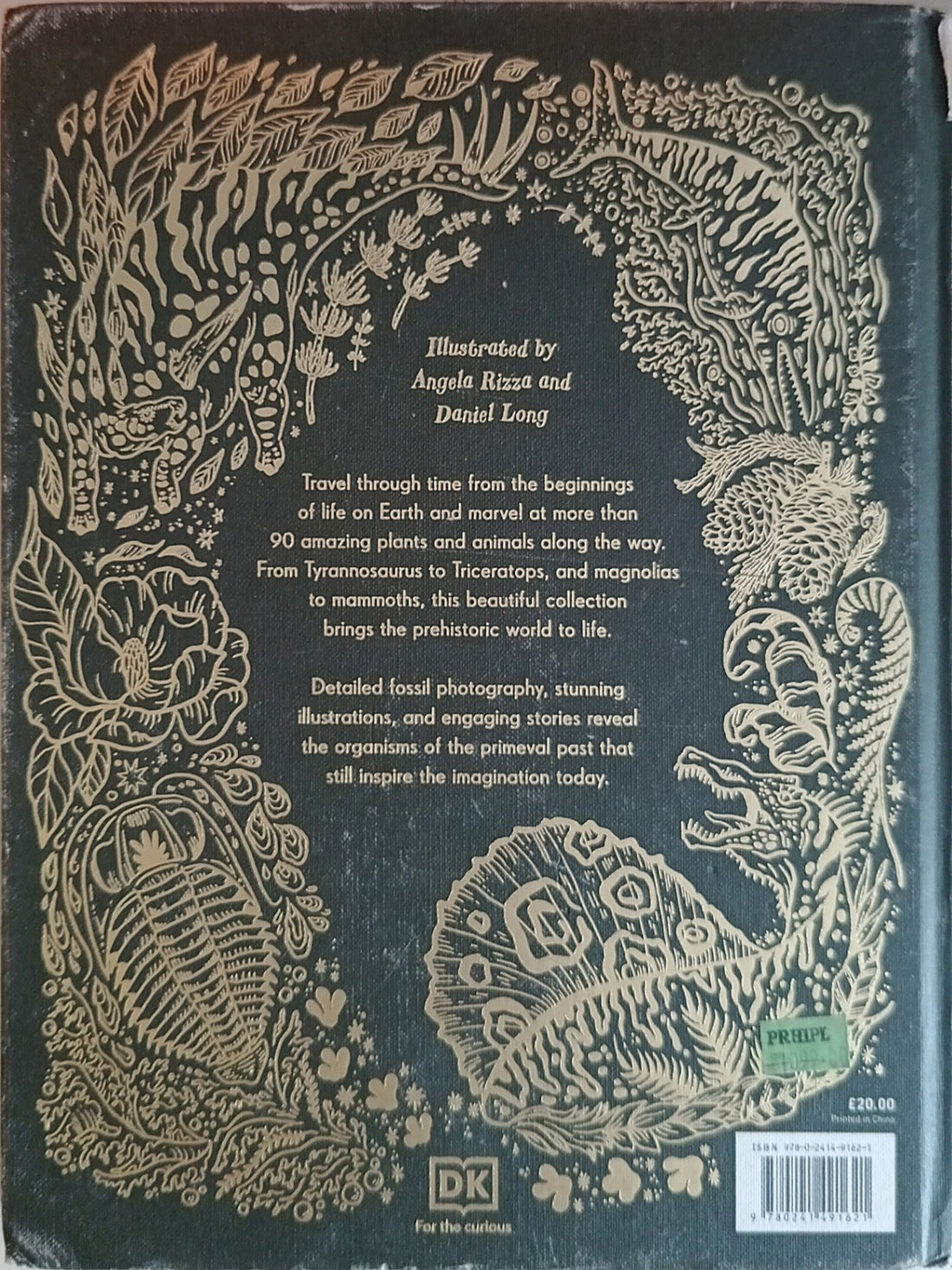 Dinosaurs and Other Prehistoric Life