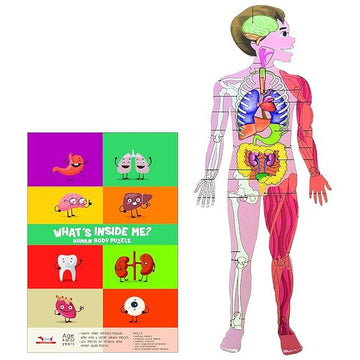 Human Body Parts Puzzle